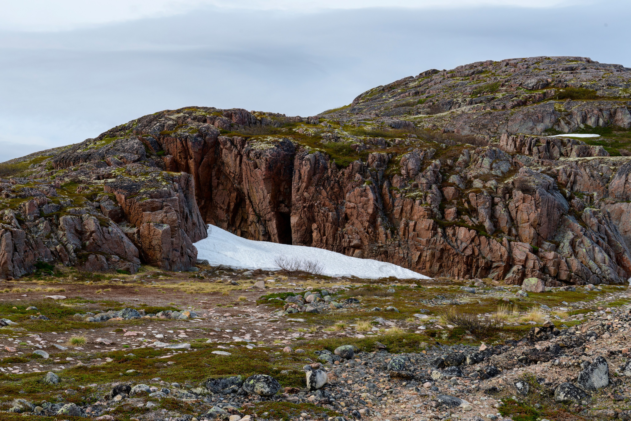 Мурманская область. Июнь 2024. Фотограф Сергей Пупонин