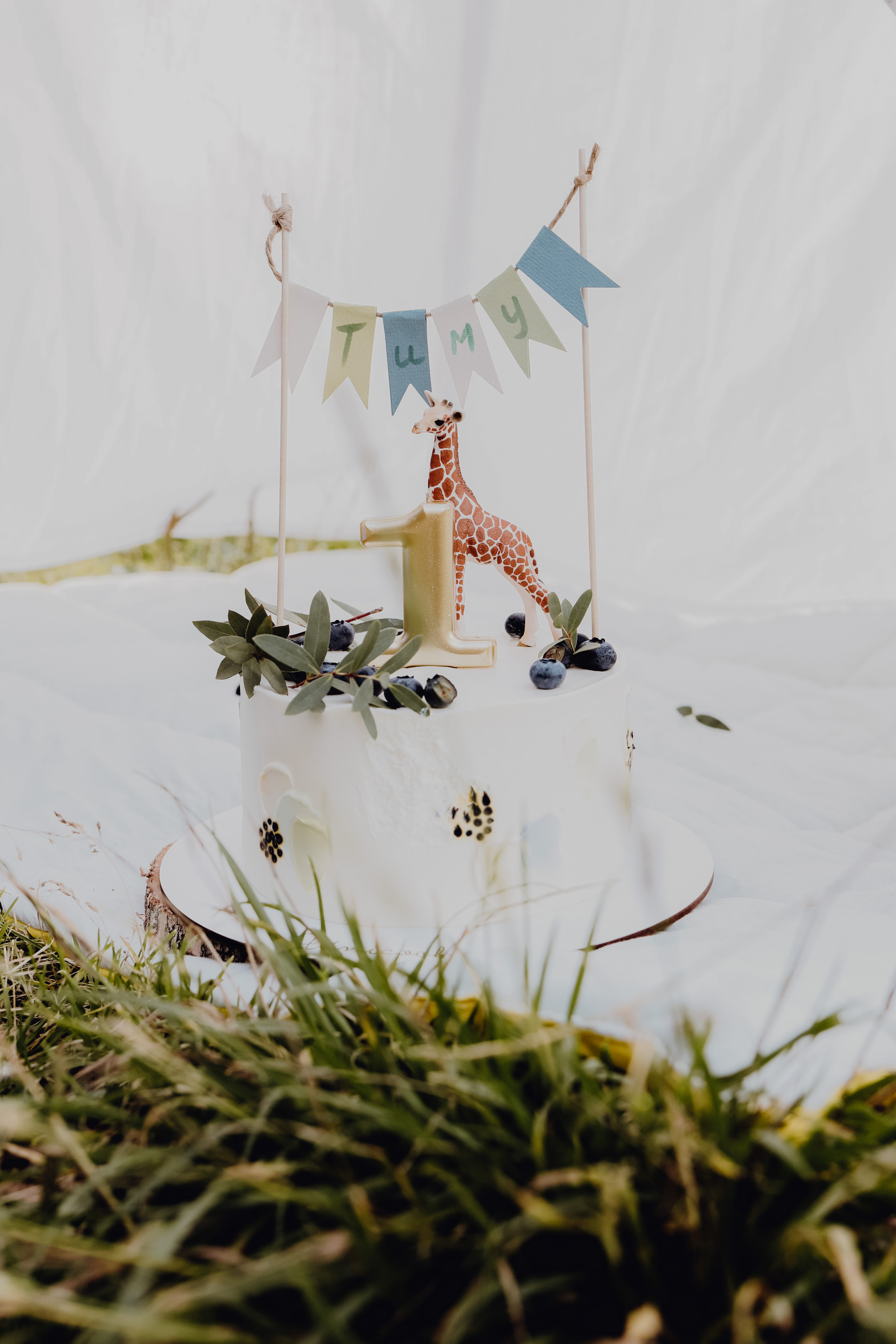 День рождения Тимофея. Семейный и портретный фотограф в Москве Александра Науменко