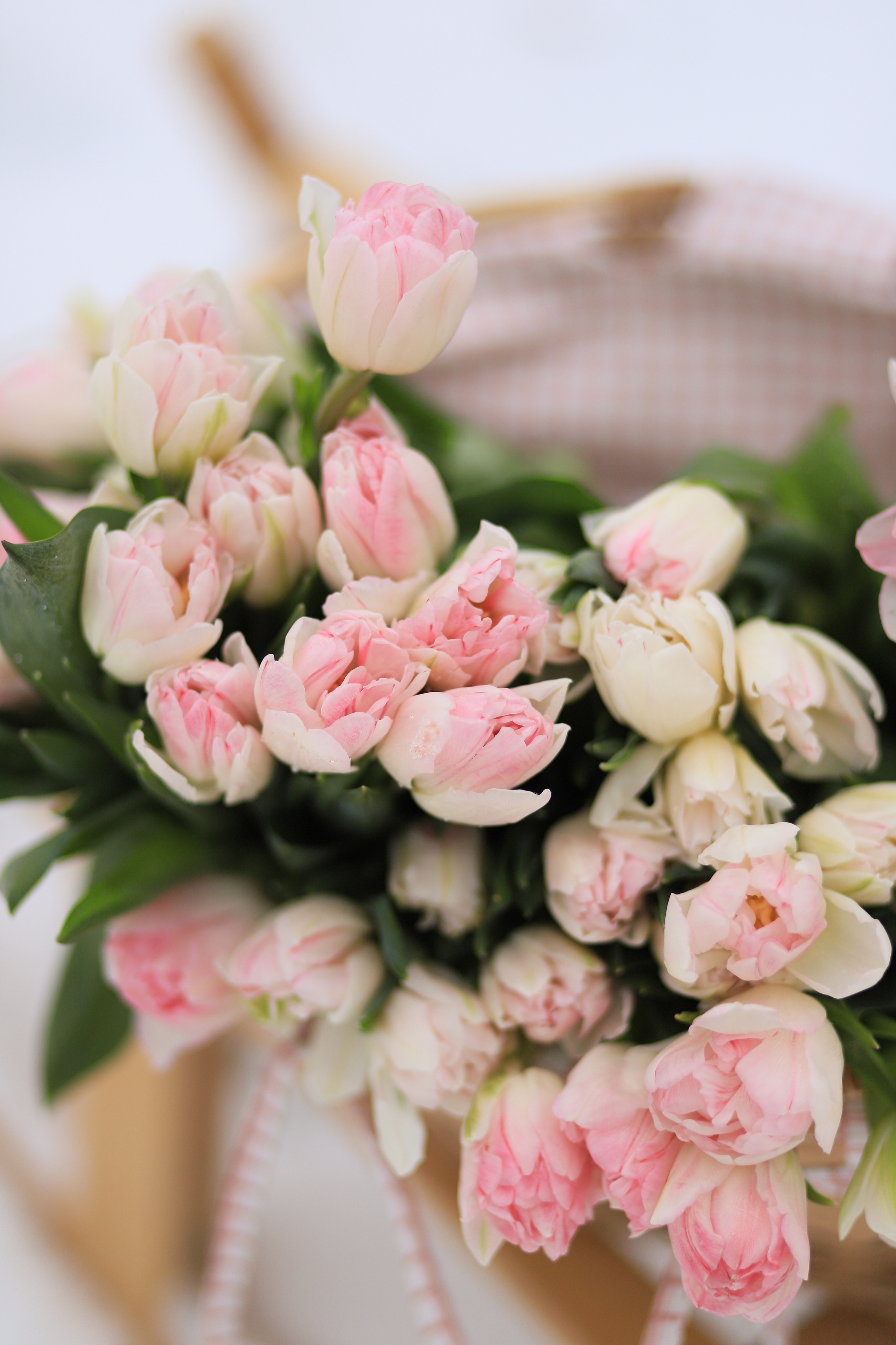 Екатерина. Семейный и портретный фотограф в Москве Александра Науменко