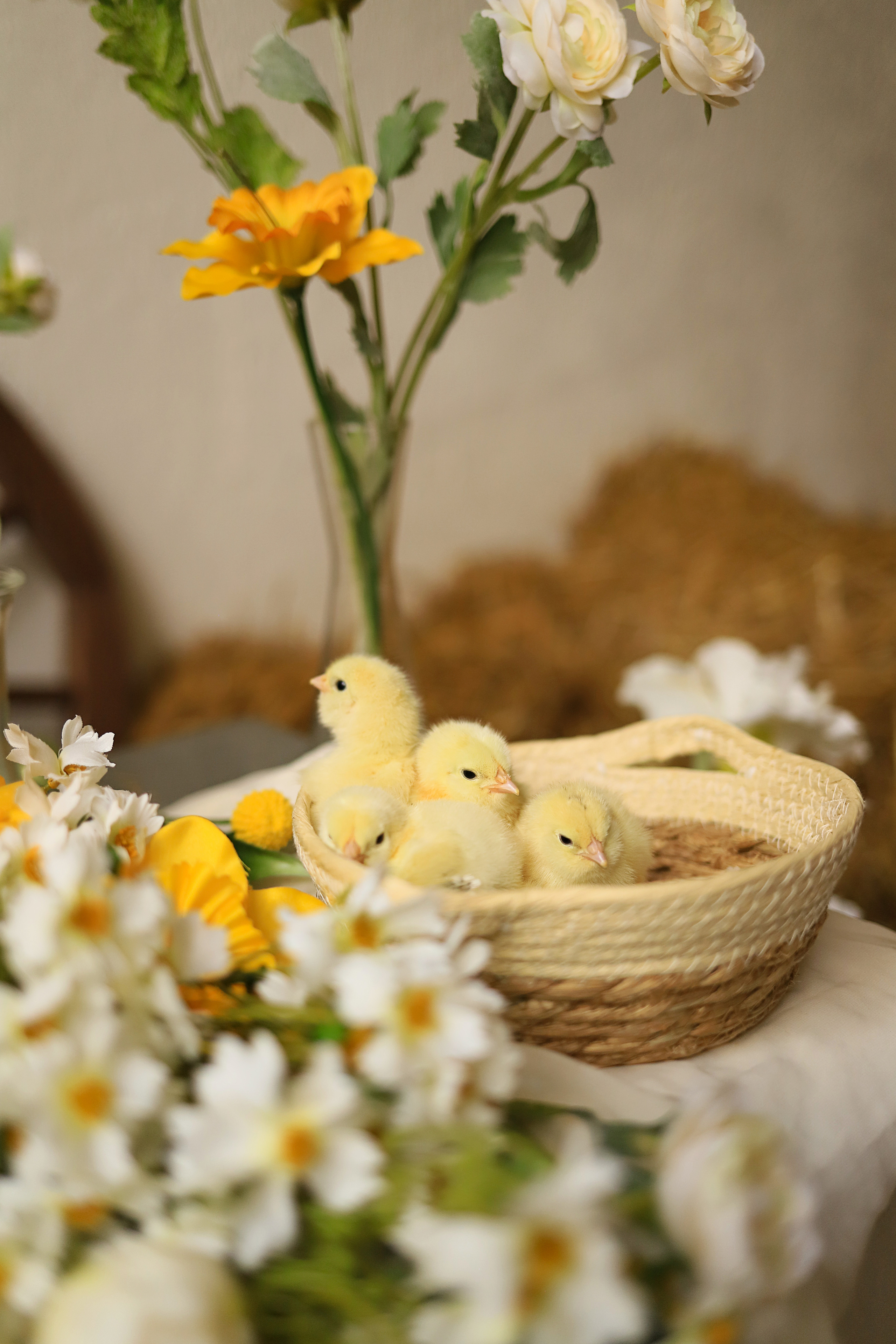 Анастасия и Эмма. Семейный и портретный фотограф в Москве Александра Науменко