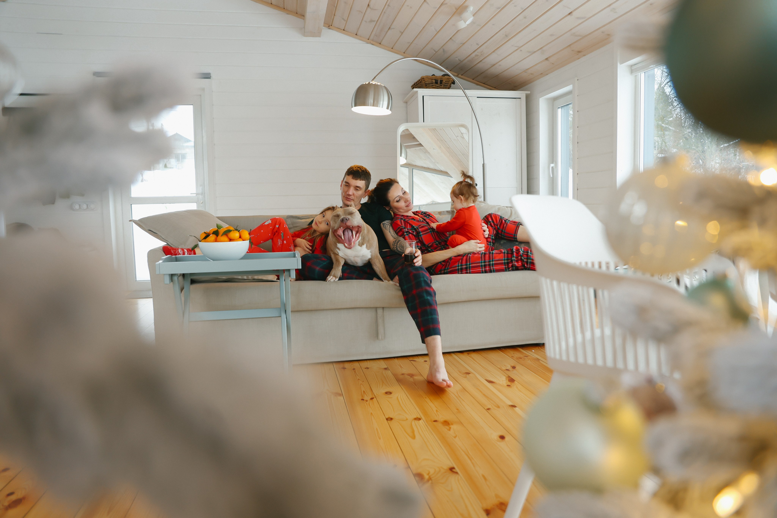 Dasha. Главная