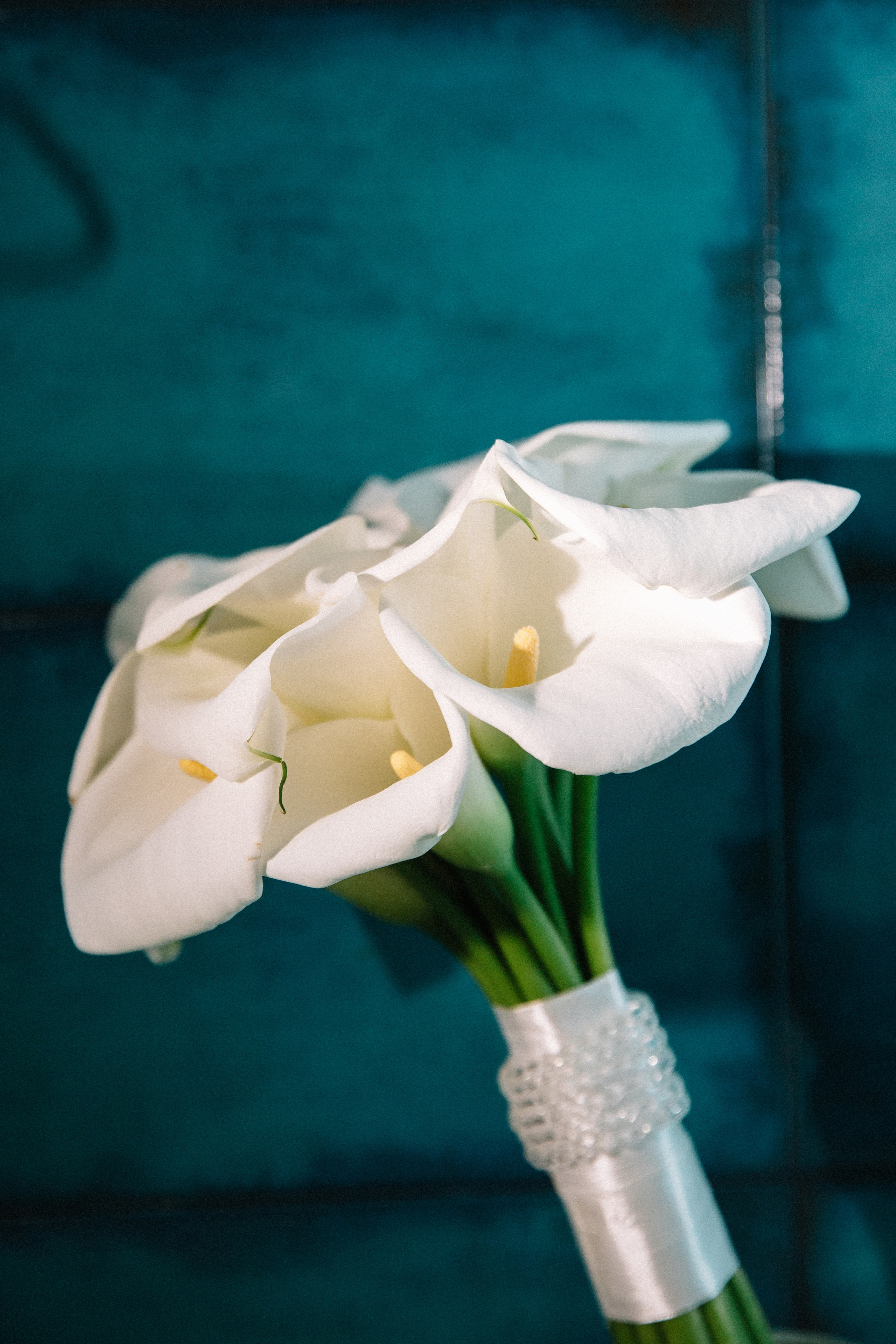 Ирина и Алексей. Семейный и свадебный фотограф в Майкопе Михаил Мартиросян