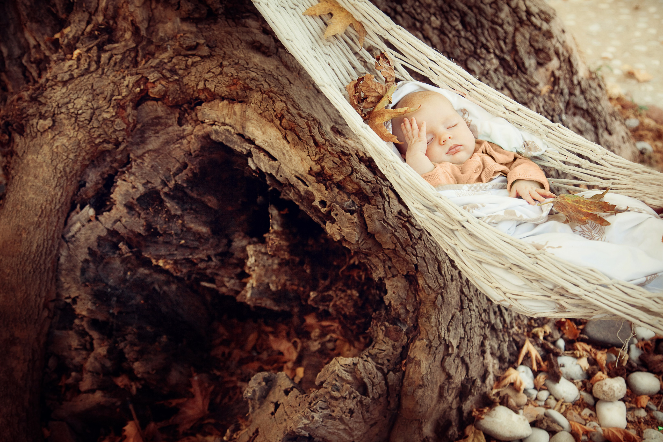 Портфолио. Карнеева Елена. Детский, семейный фотограф