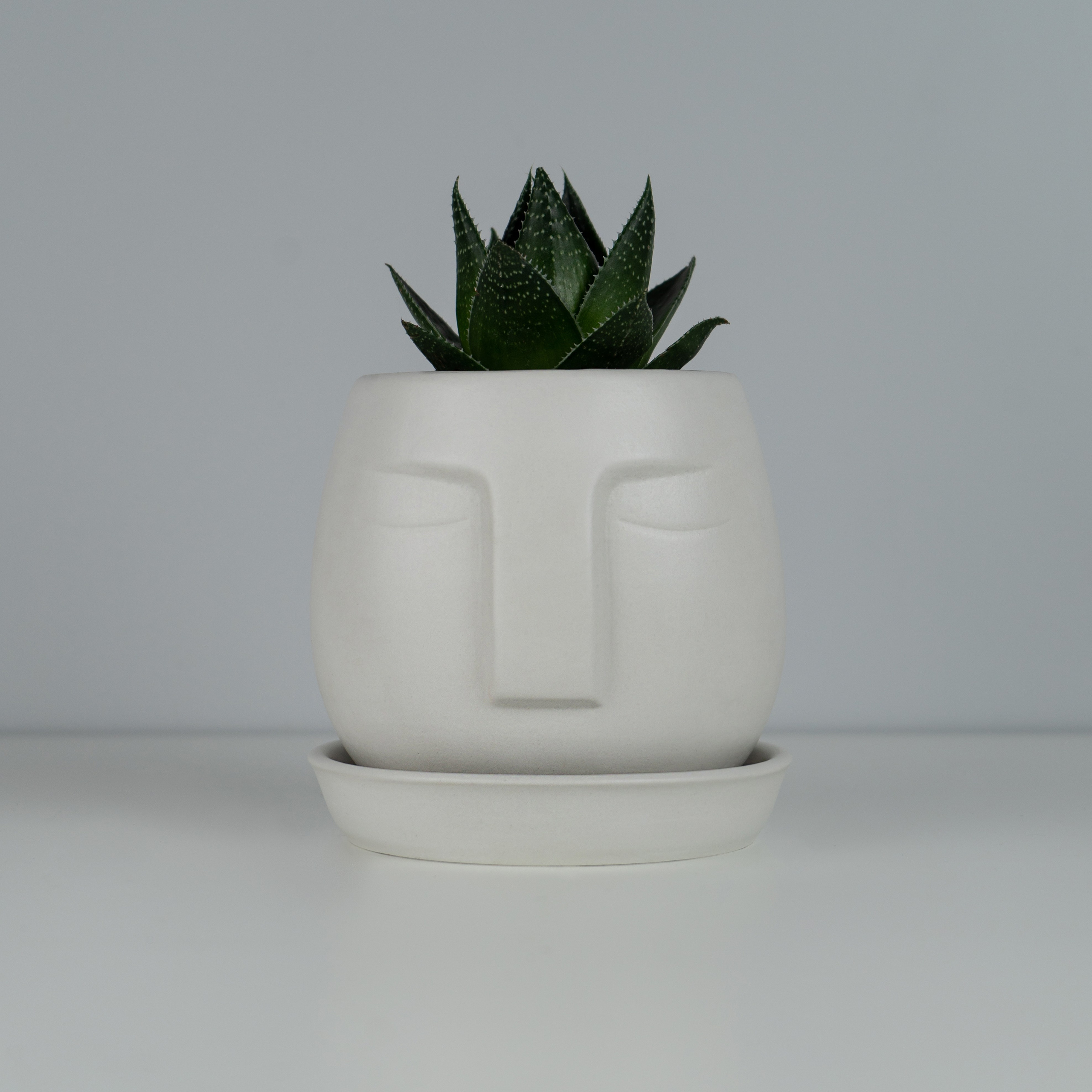 Ваза. Концептуальный фотограф Шлыкова Ольга