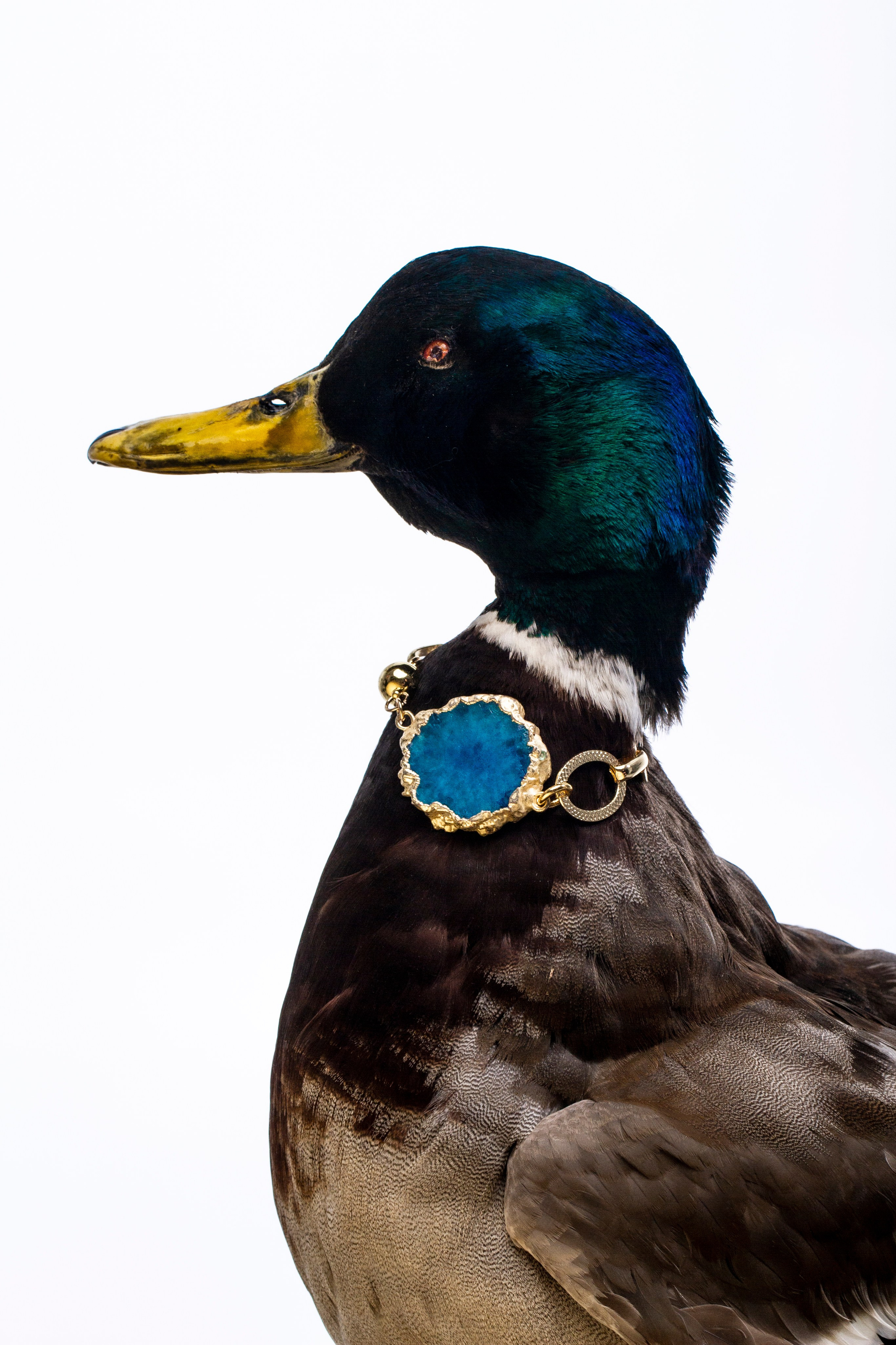 Бижутерия. Концептуальный фотограф Шлыкова Ольга