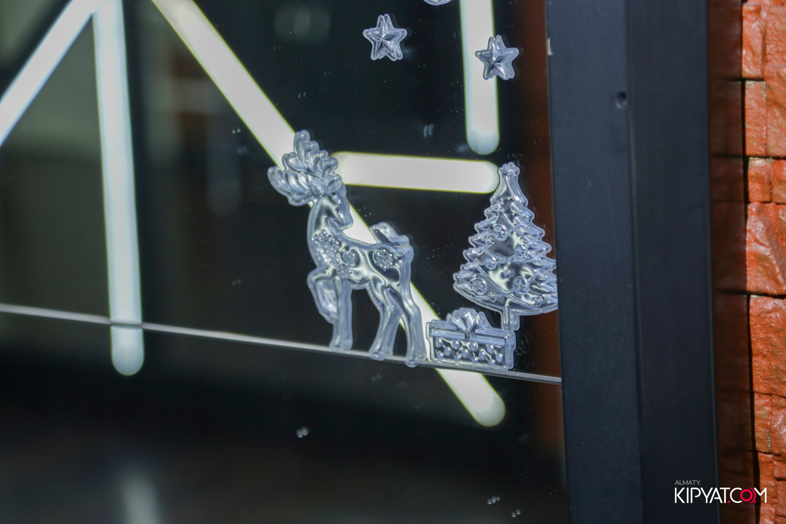 УХО И МЕДВЕДЬ НА САИНА. КИПЯТКОМ АЛМАТЫ! Фотосъемка мероприятий в Алматы