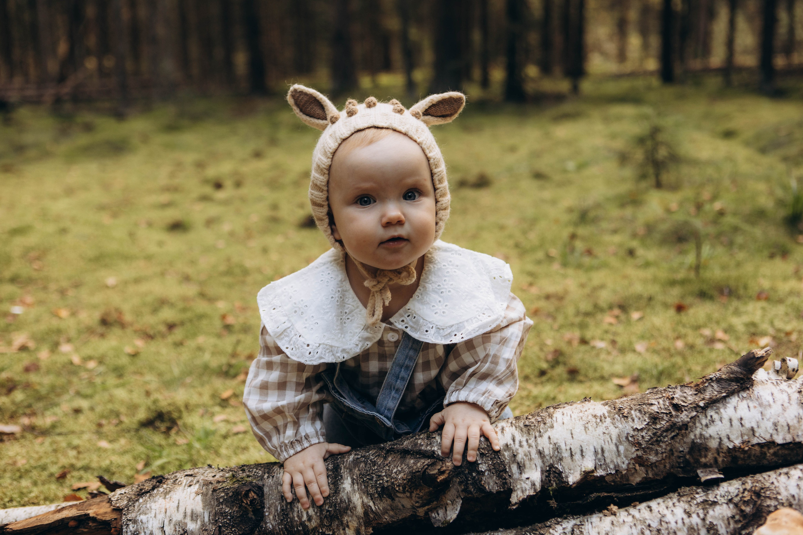 Лесная история. Наталья Косьянова. Ваш фотограф. Москва