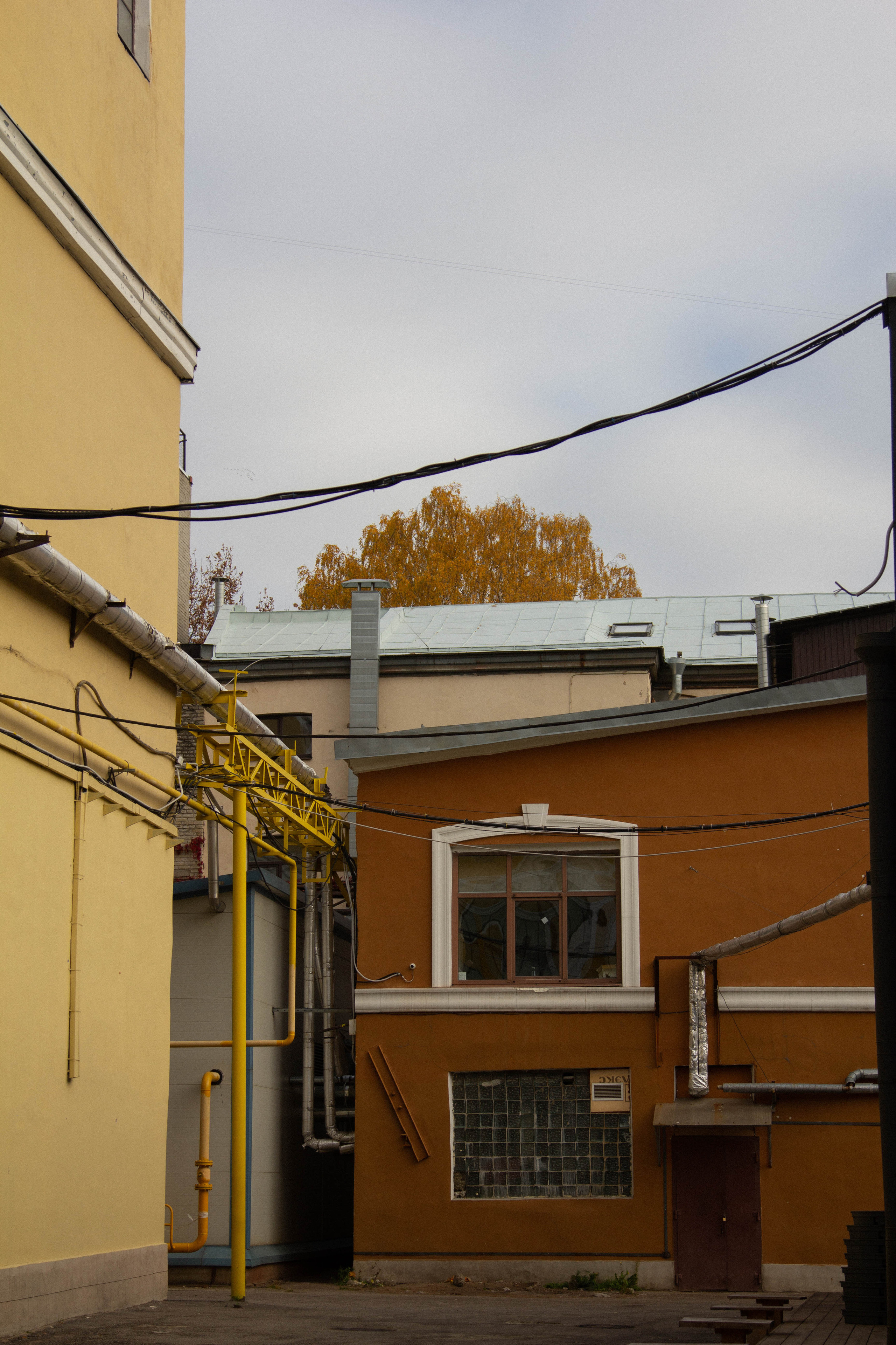 Санкт-Петербург, осень 2021. Фотограф Скворцова Дарья