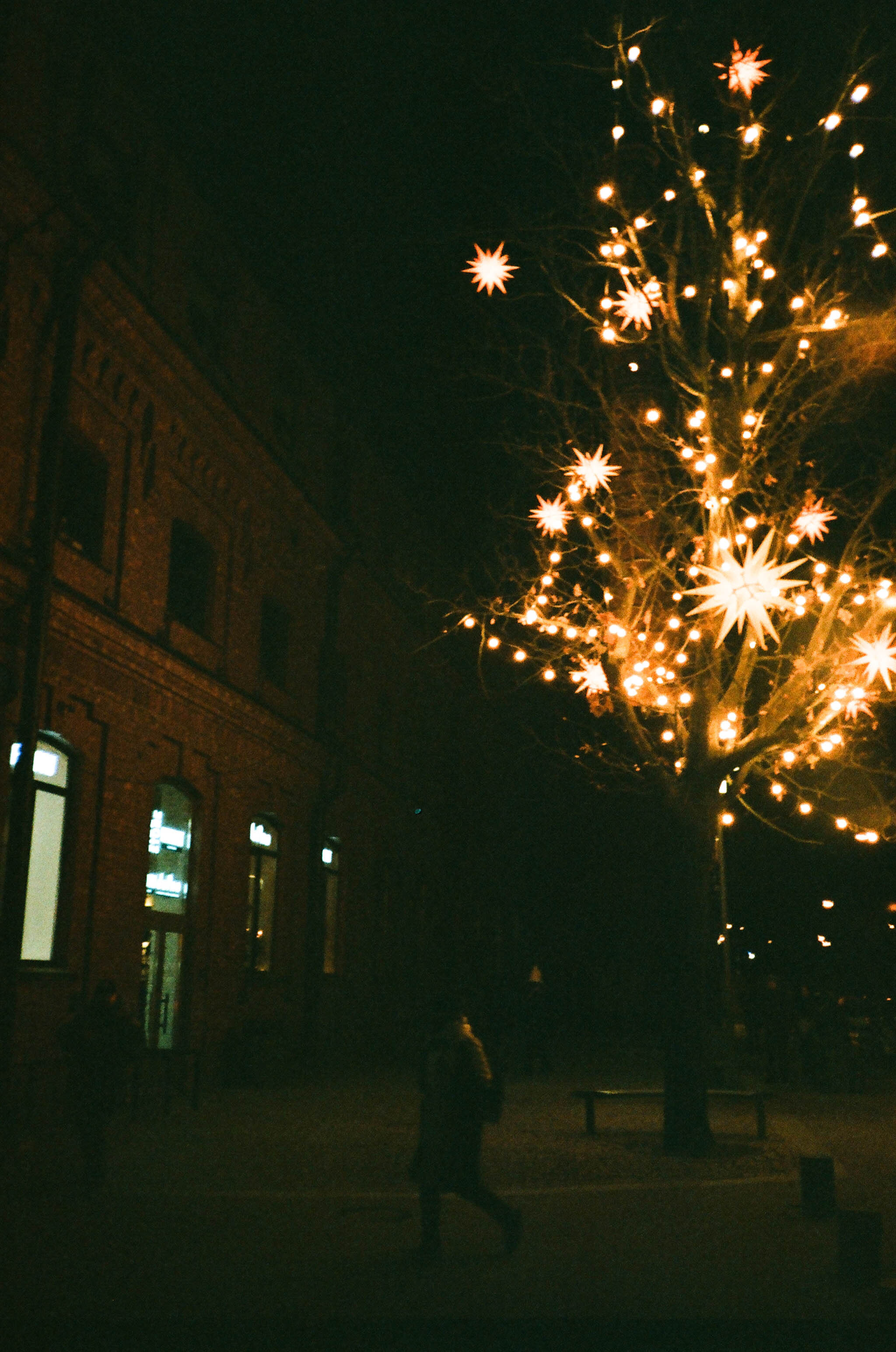 Пленка № 5. Фотограф Скворцова Дарья