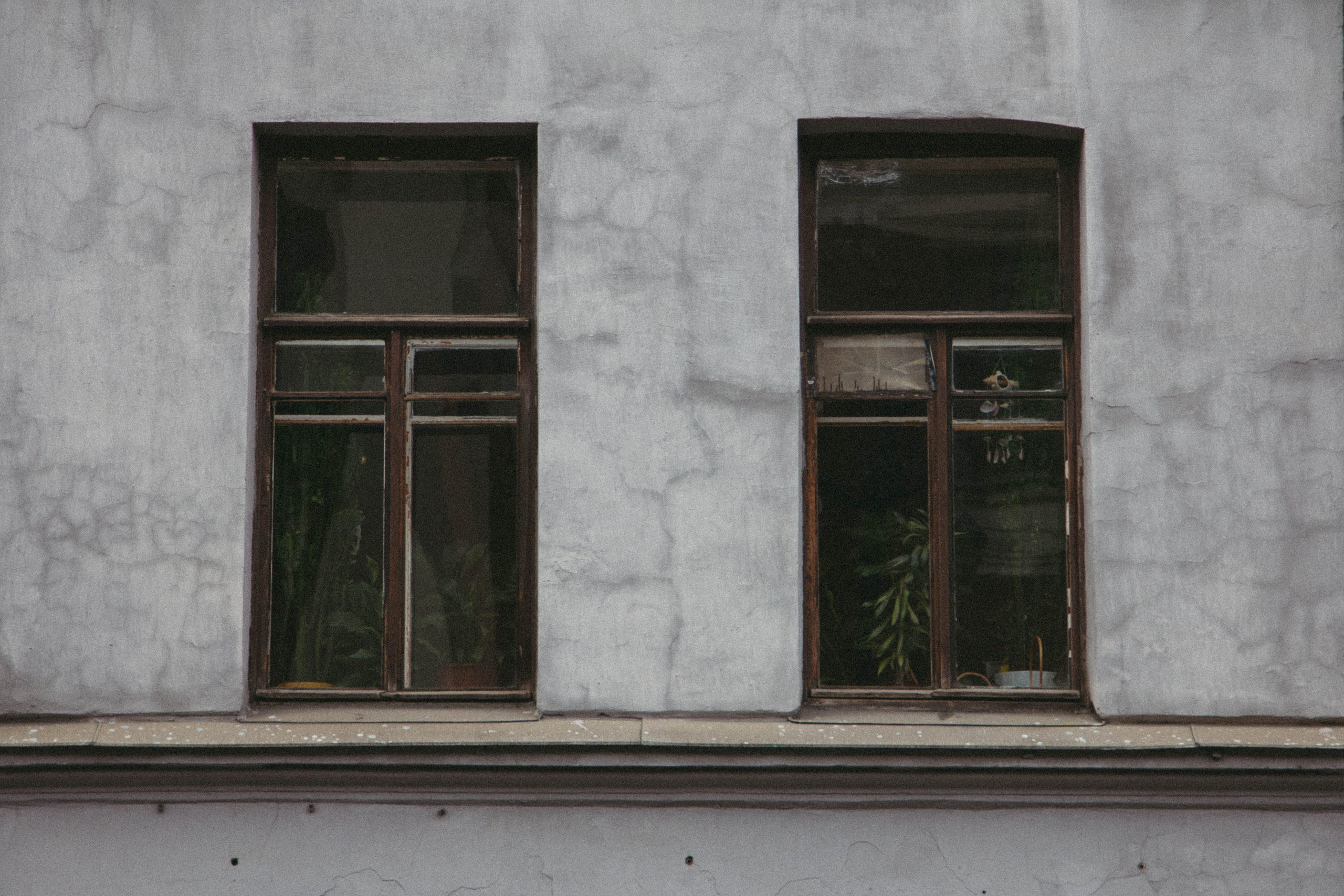 Санкт-Петербург, осень 2021. Фотограф Скворцова Дарья