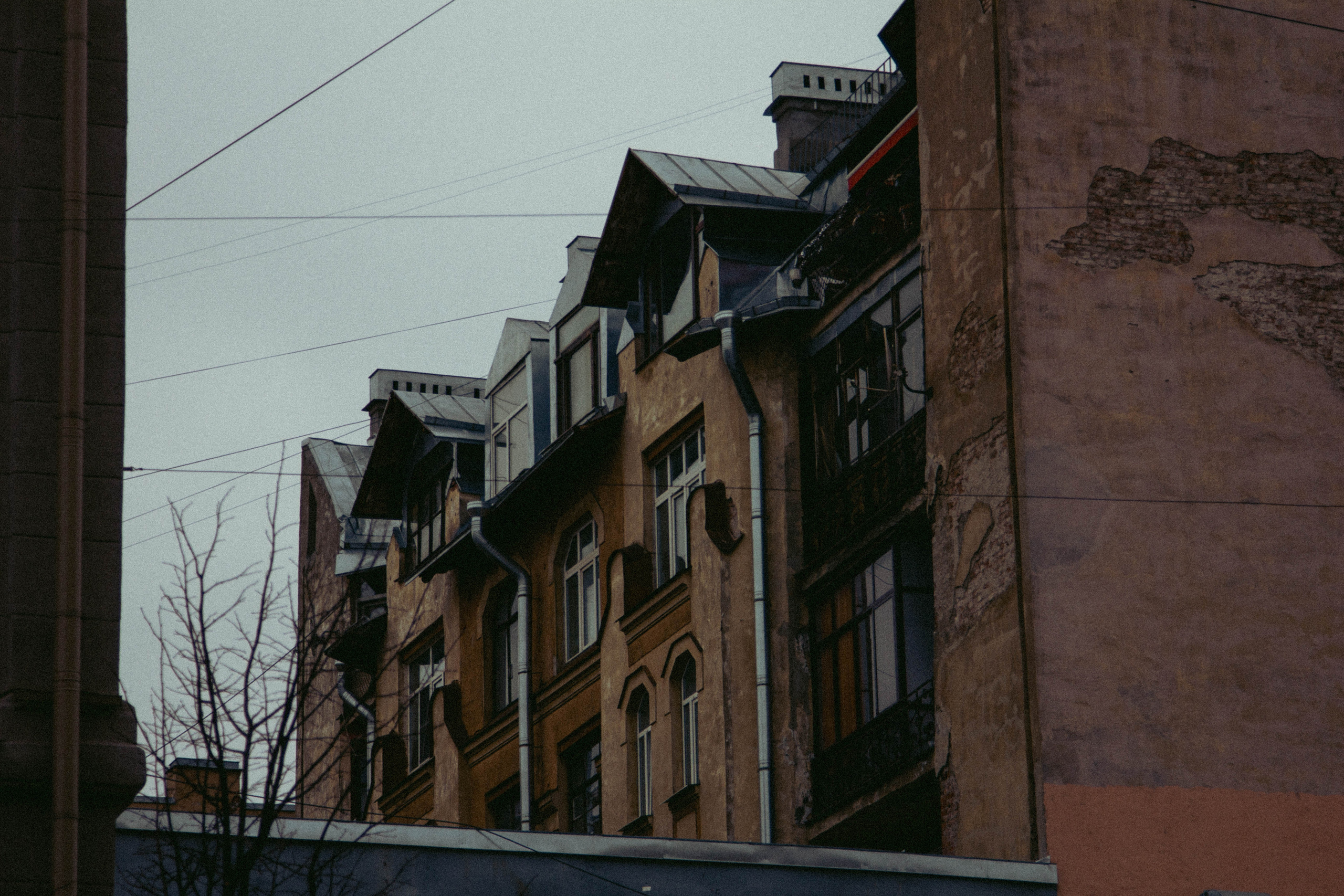 Санкт-Петербург, 11 марта 2022. Фотограф Скворцова Дарья