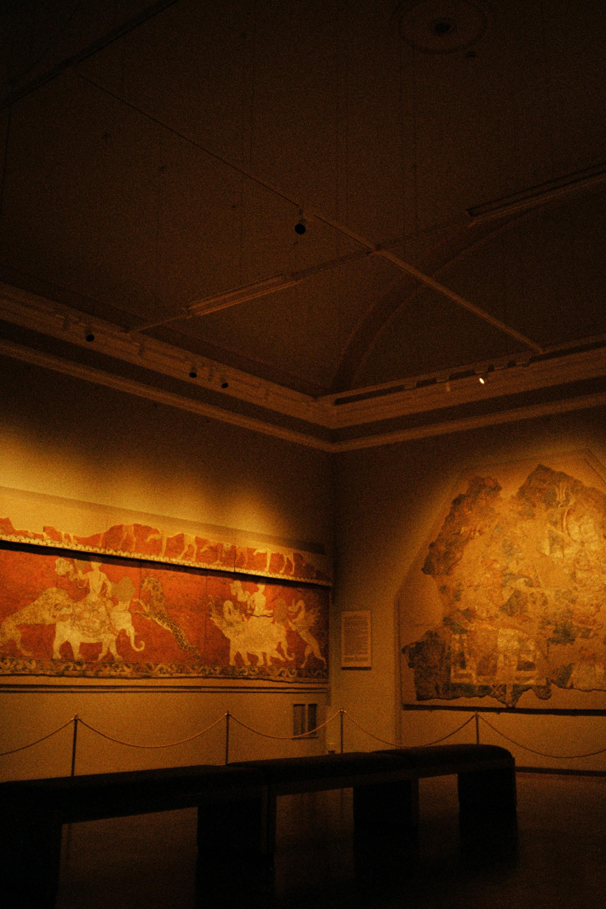 Пленка № 2. Фотограф Скворцова Дарья