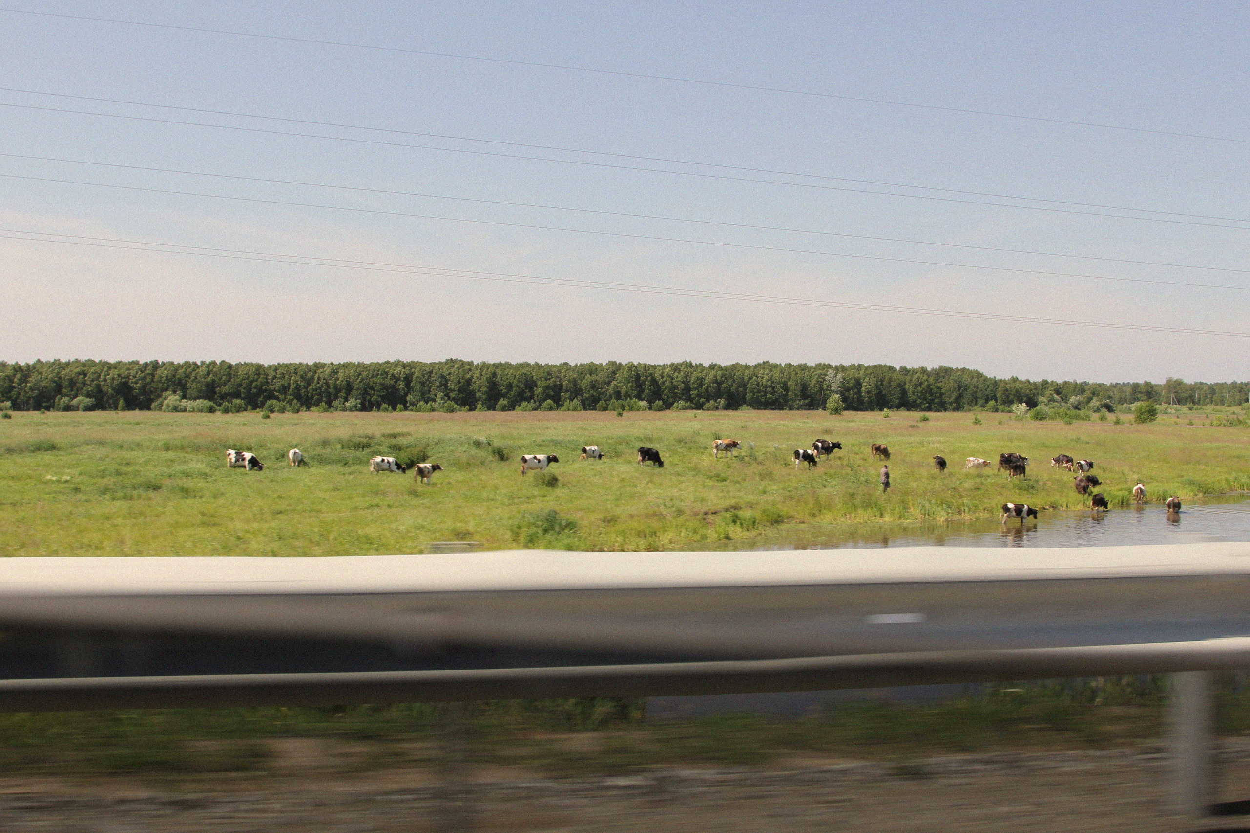 День рождения Ани. Фотограф Скворцова Дарья