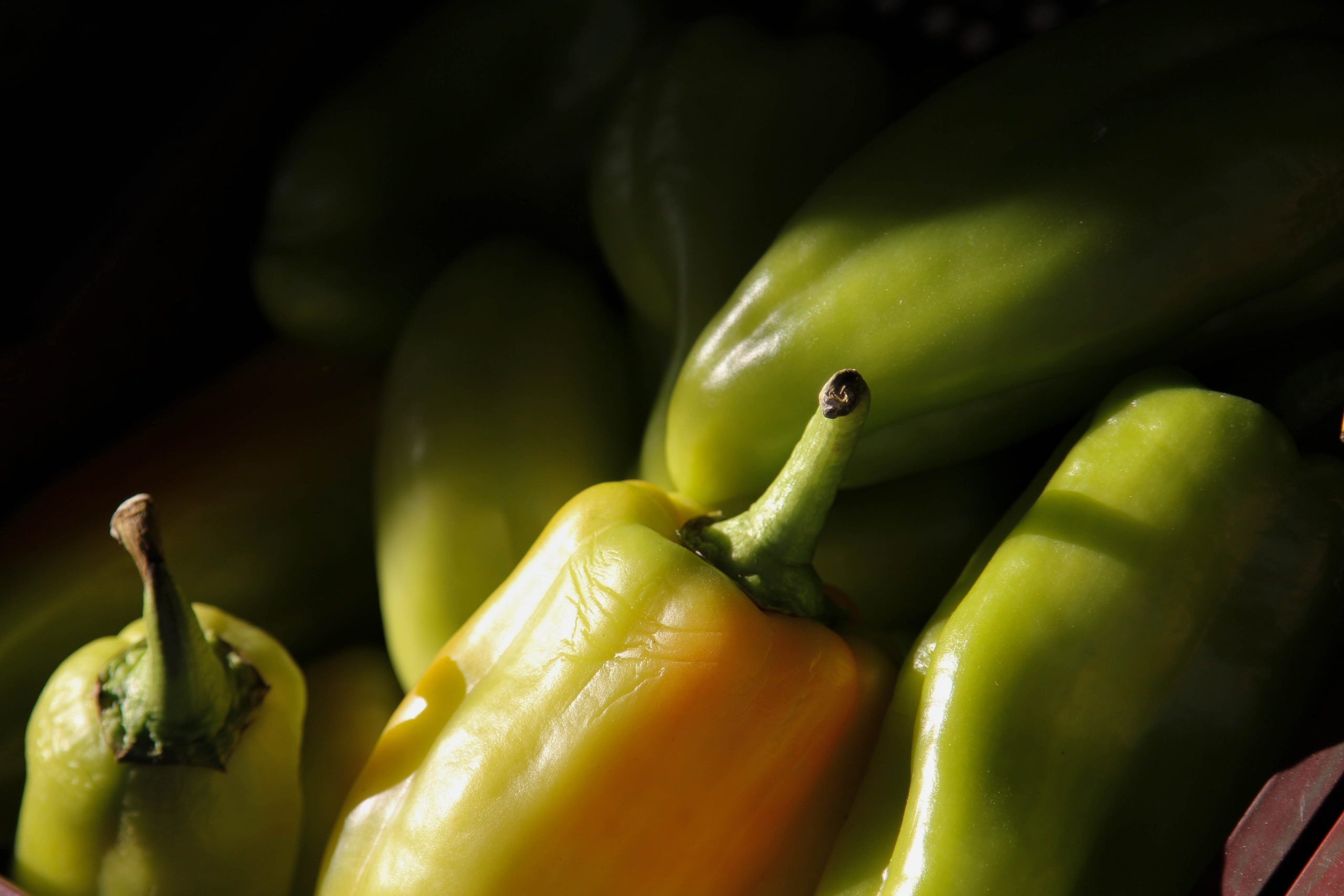 Томск, 17 июня 2020. Фотограф Скворцова Дарья