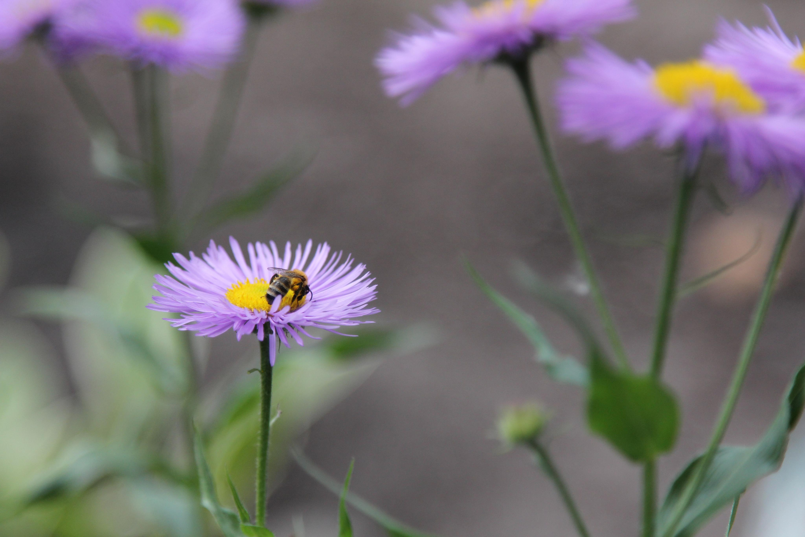 Томск, 20 июня 2020. Фотограф Скворцова Дарья