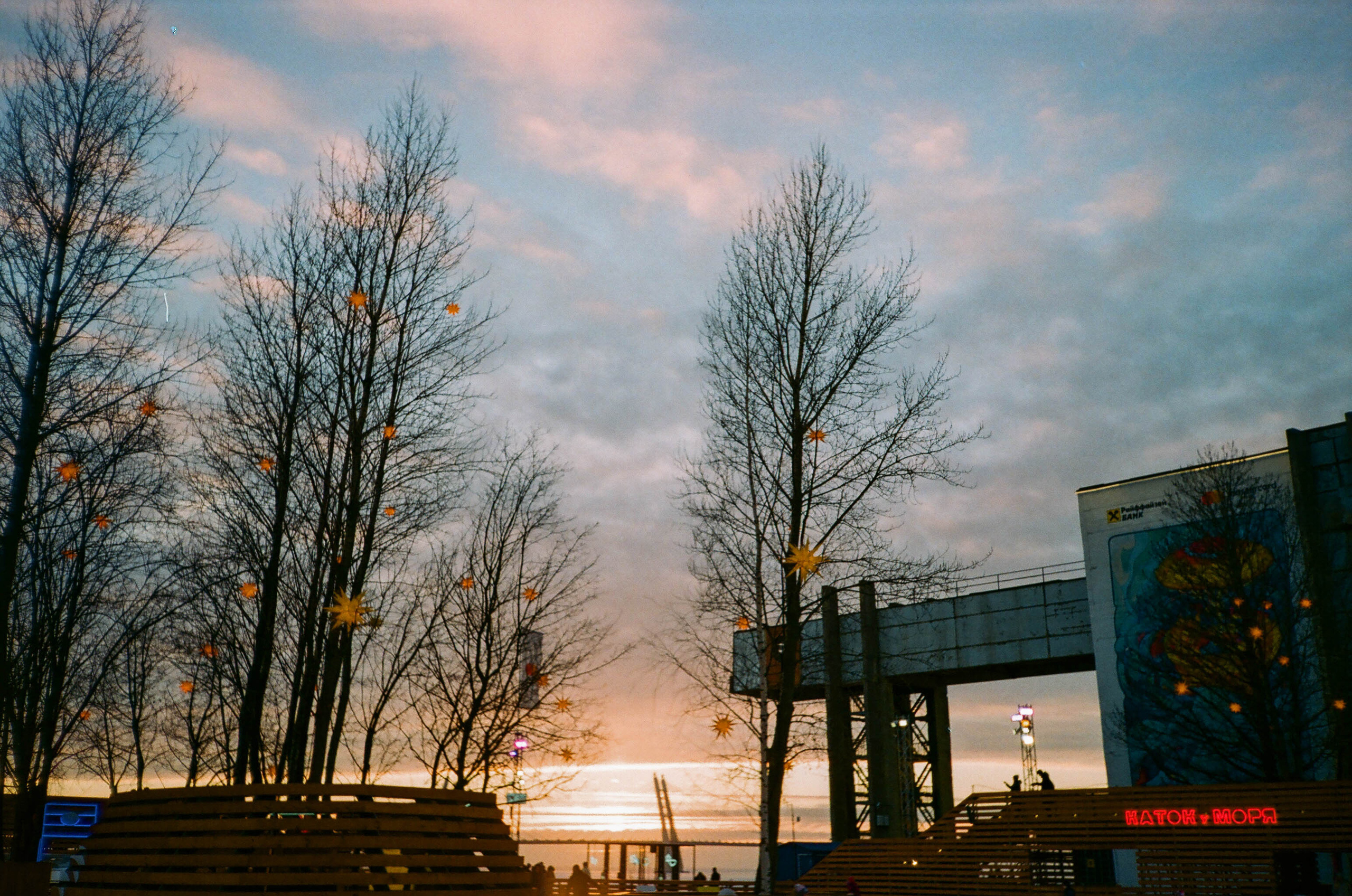 Пленка № 5. Фотограф Скворцова Дарья