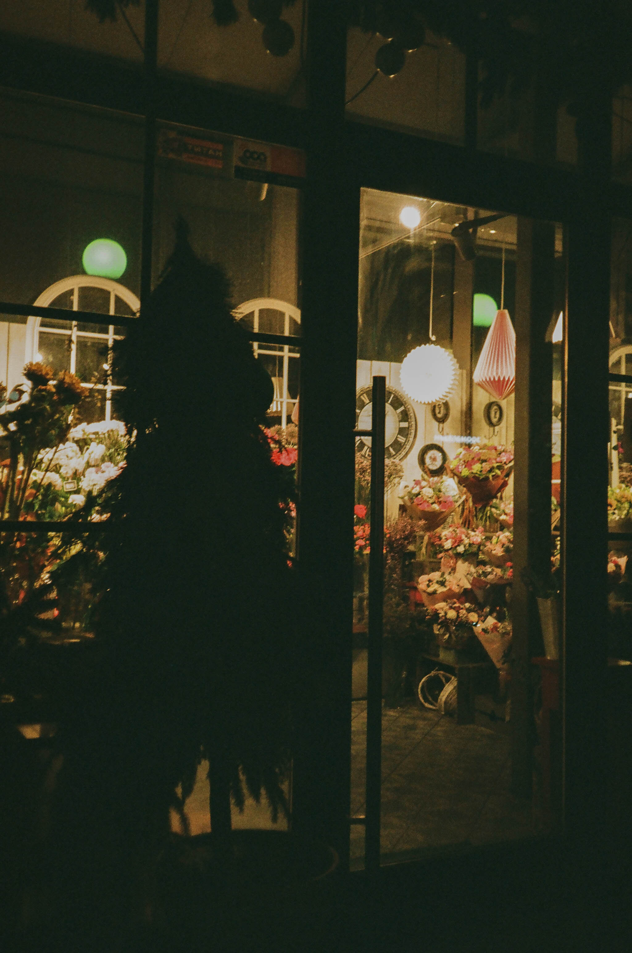 Пленка № 5. Фотограф Скворцова Дарья