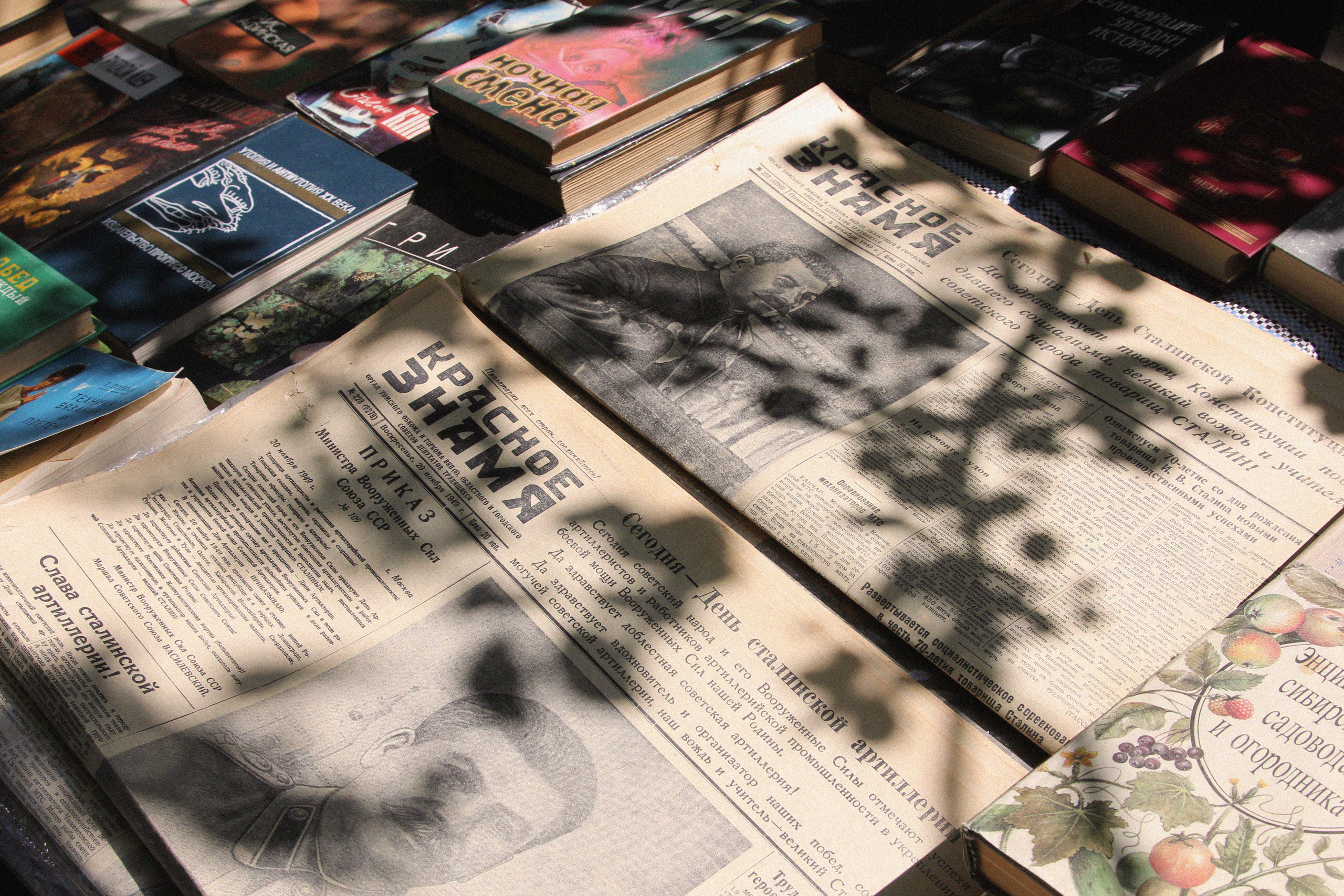 Томск, июль 2020. Фотограф Скворцова Дарья