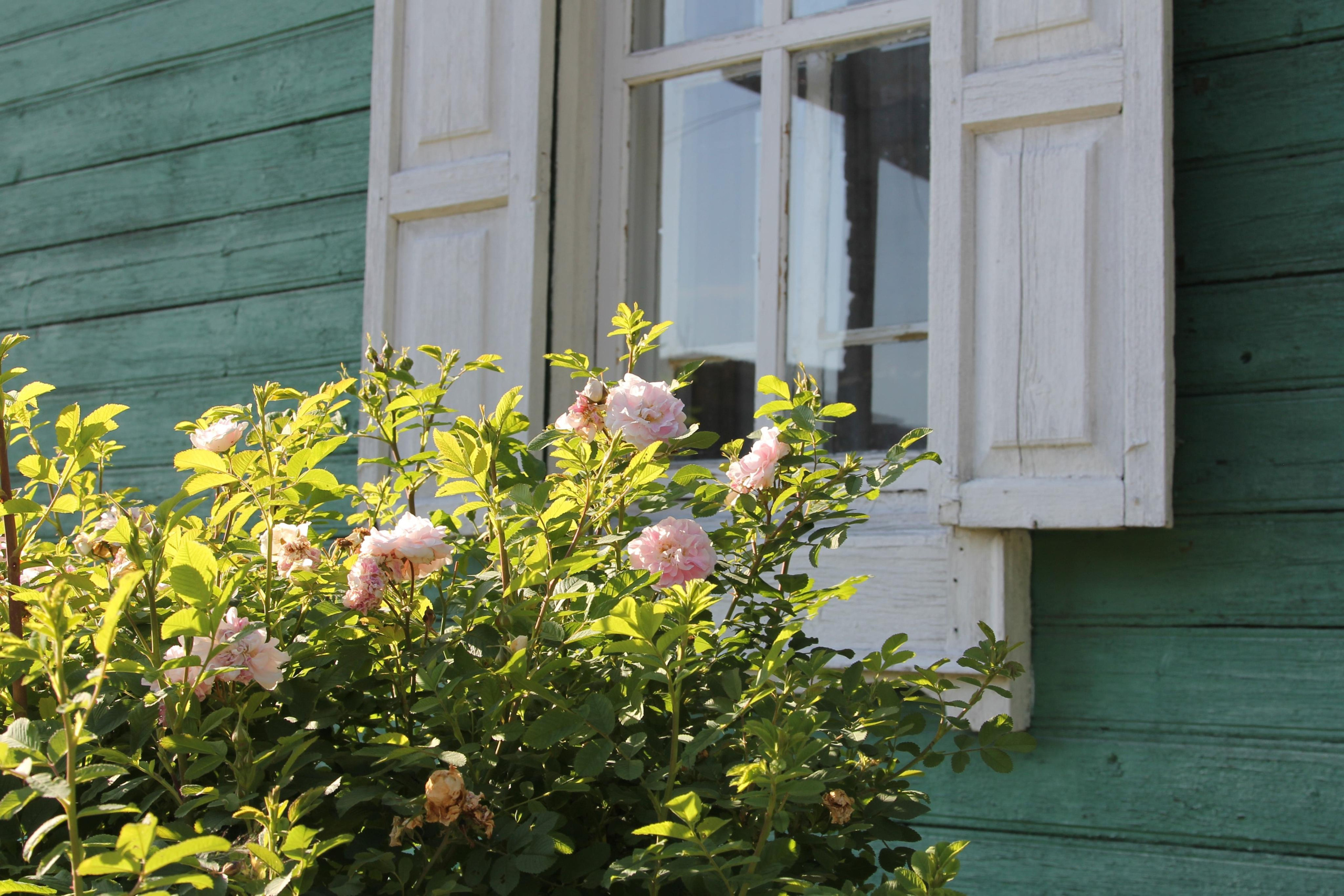 Томск, 20 июня 2020. Фотограф Скворцова Дарья