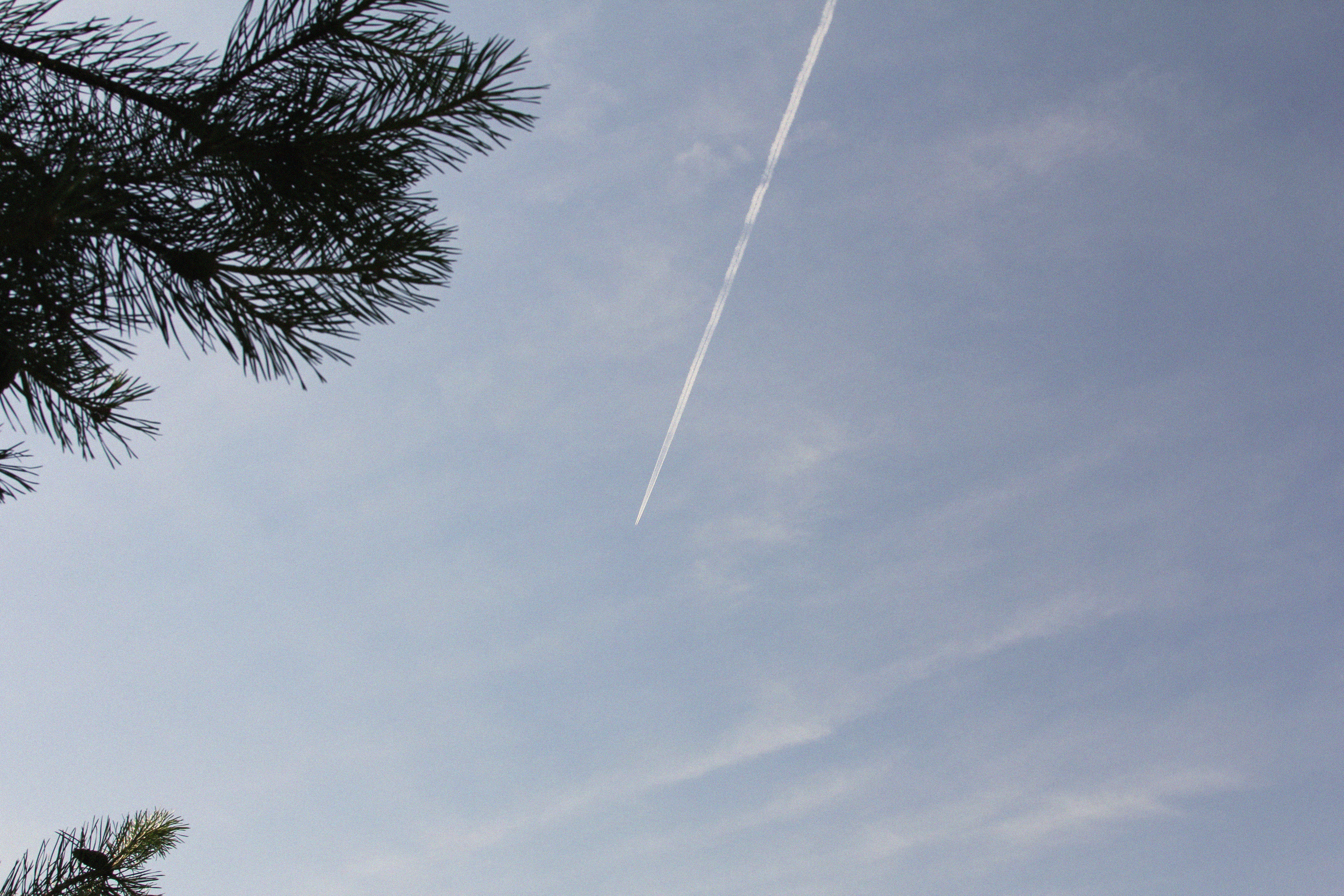 День рождения Ани. Фотограф Скворцова Дарья