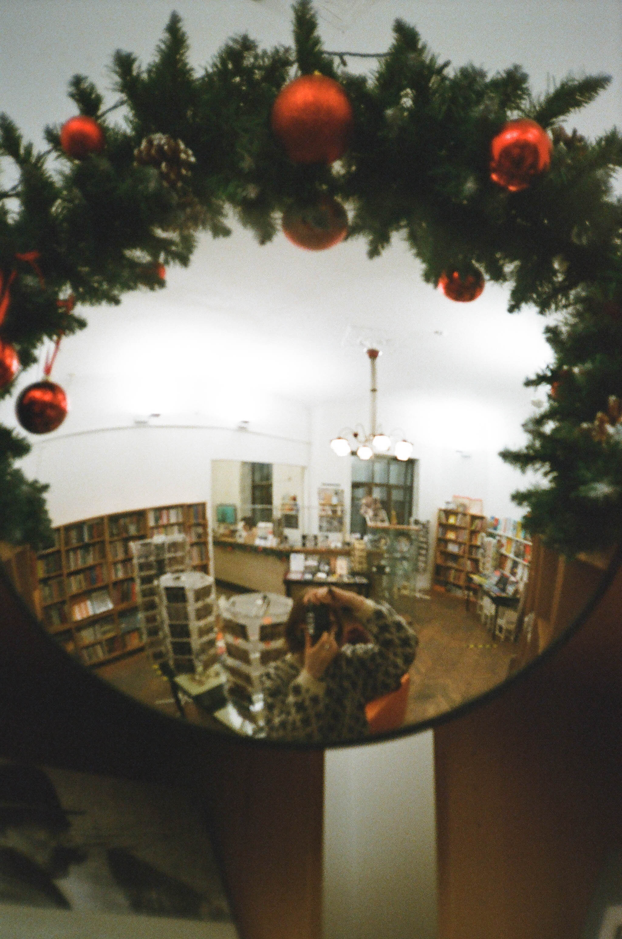 Пленка № 3. Фотограф Скворцова Дарья