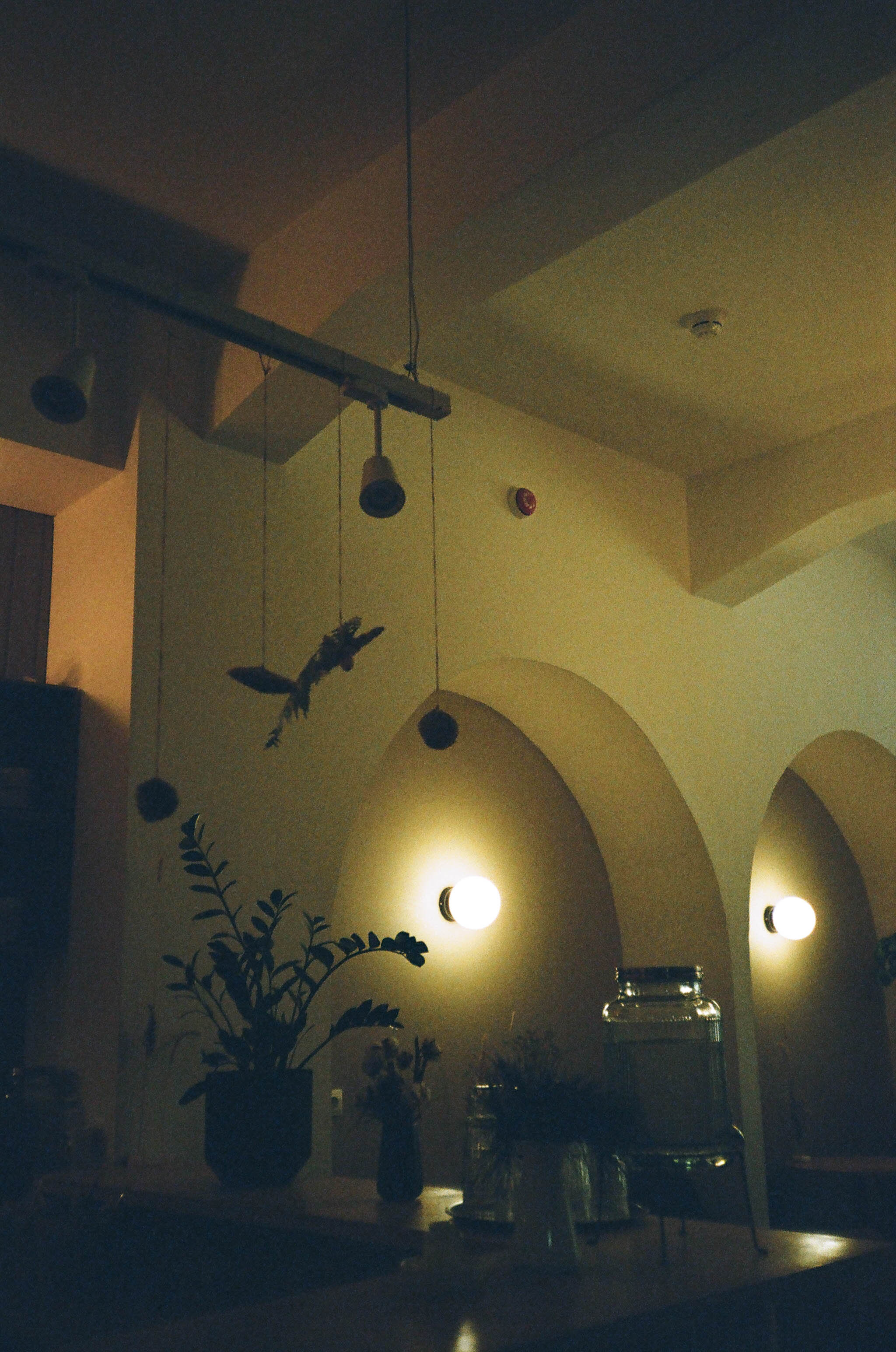 Пленка № 3. Фотограф Скворцова Дарья