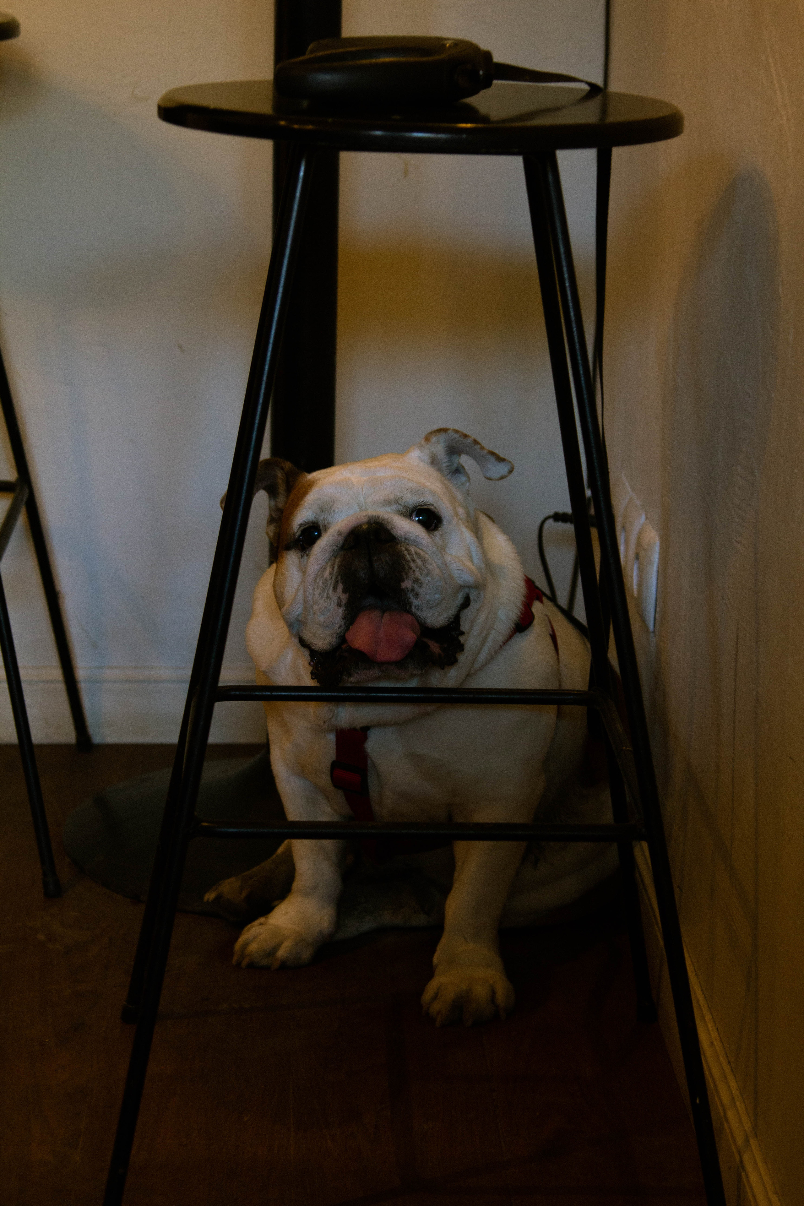 Санкт-Петербург, 14 марта 2022. Фотограф Скворцова Дарья