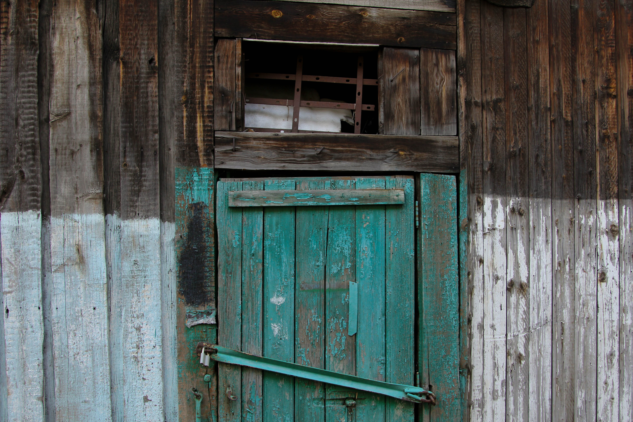Томск, 17 июня 2020. Фотограф Скворцова Дарья