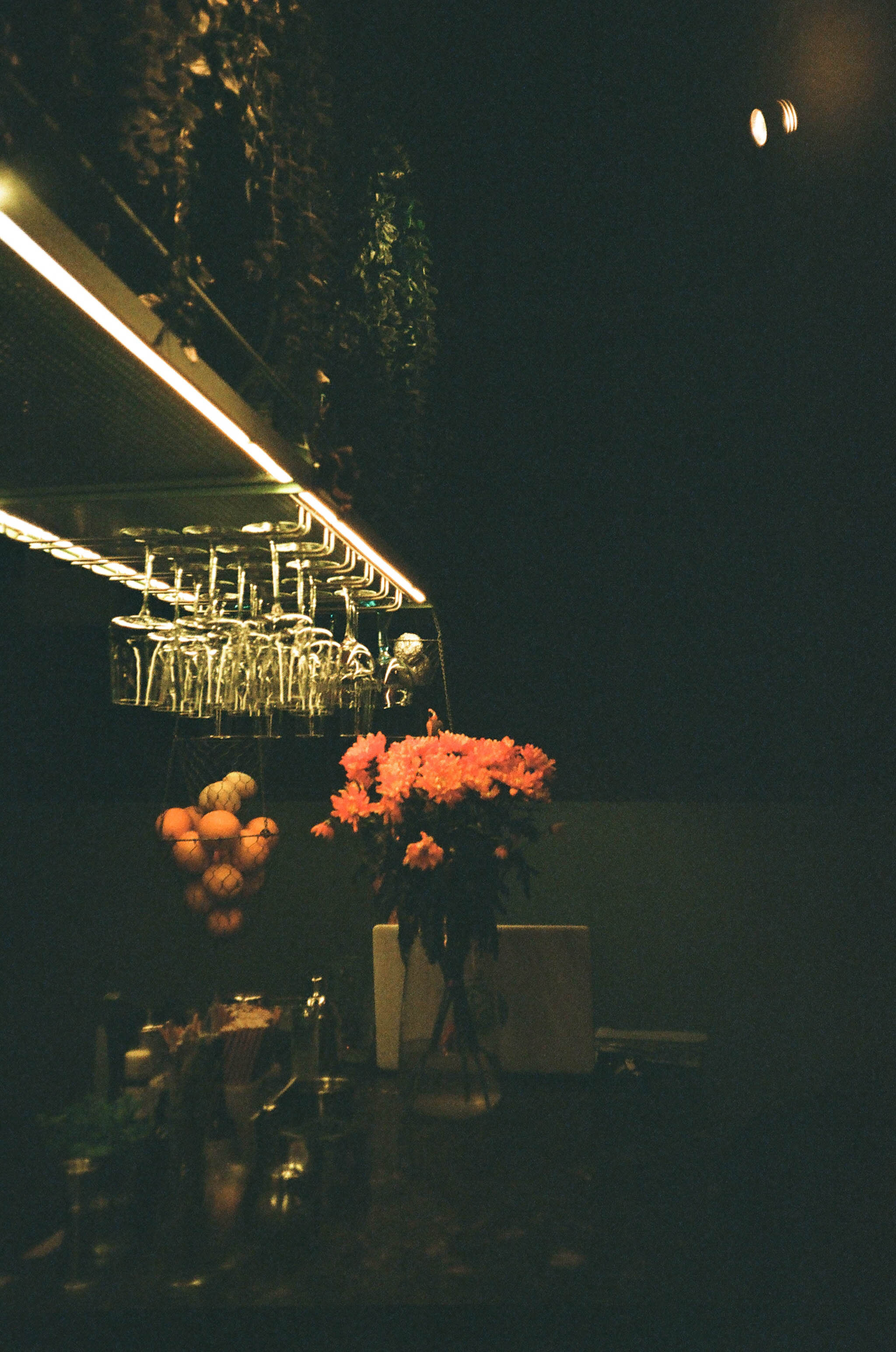 Пленка № 3. Фотограф Скворцова Дарья