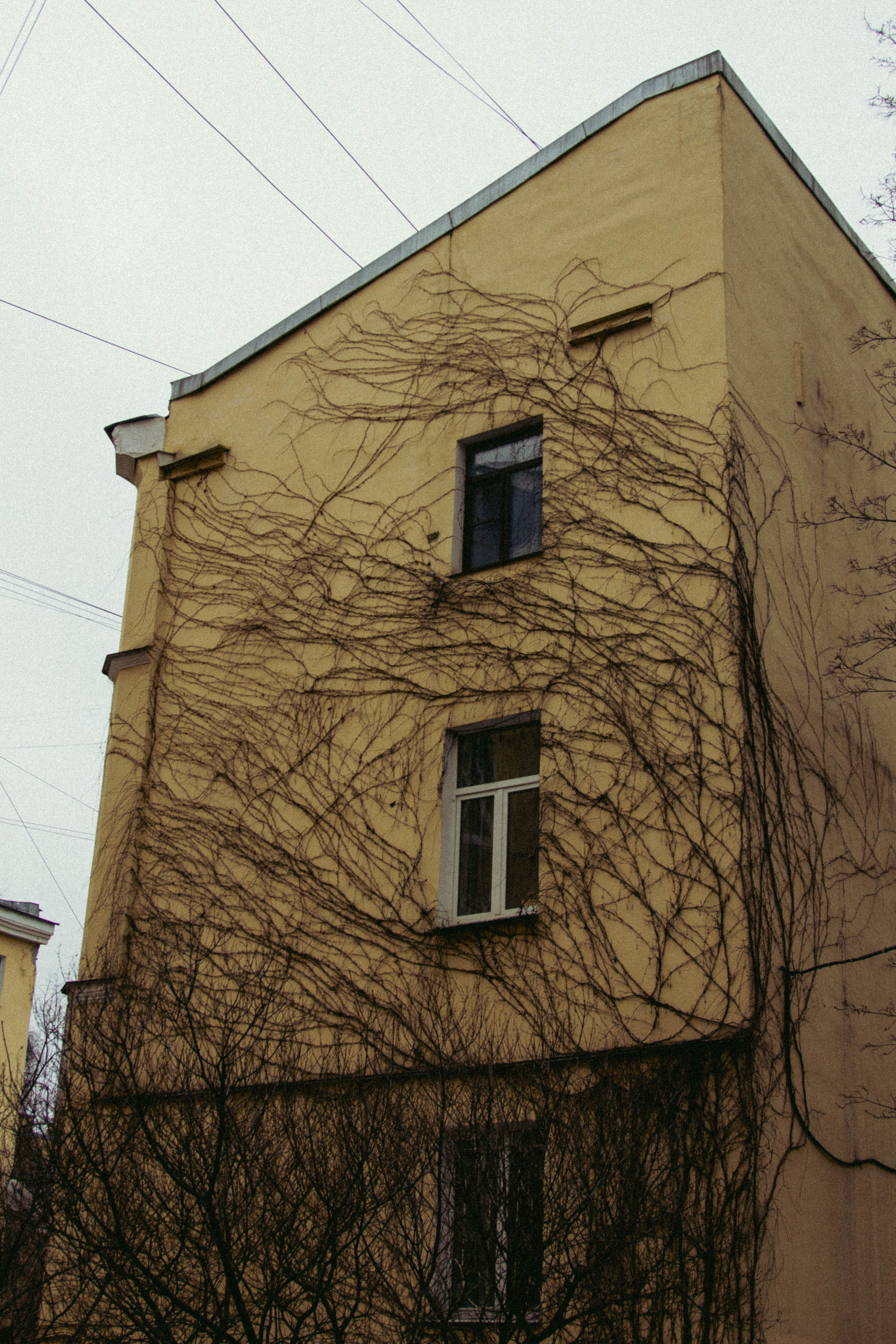 Санкт-Петербург, 11 марта 2022. Фотограф Скворцова Дарья