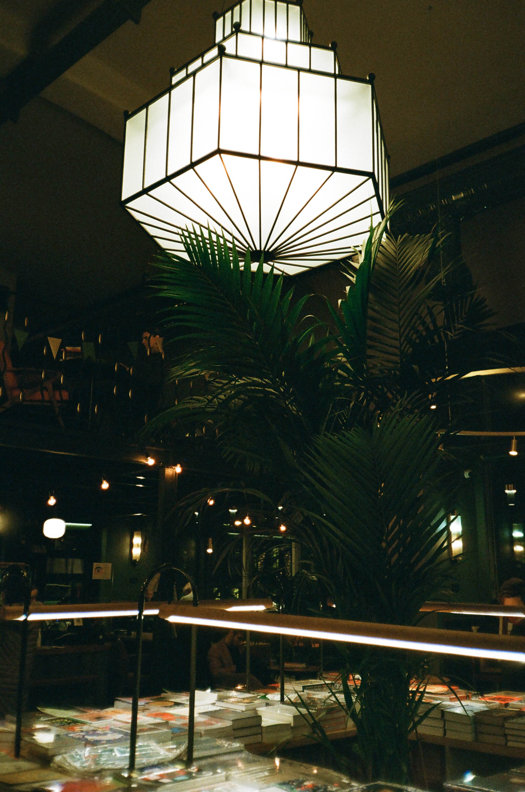 Пленка № 3. Фотограф Скворцова Дарья