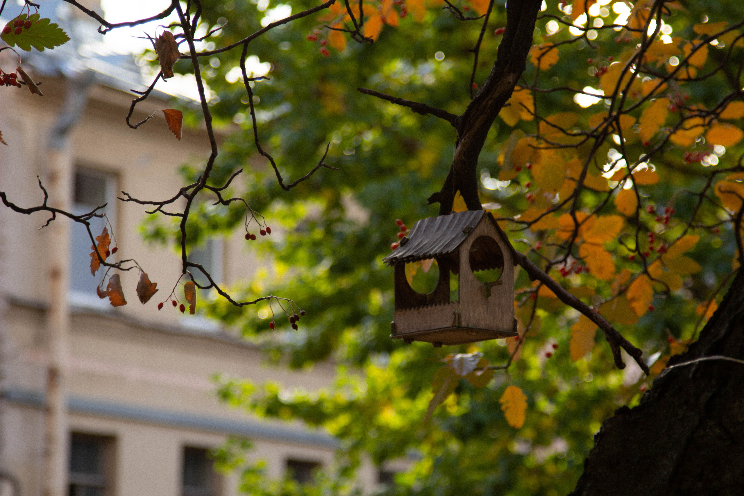 Санкт-Петербург, осень 2021. Фотограф Скворцова Дарья