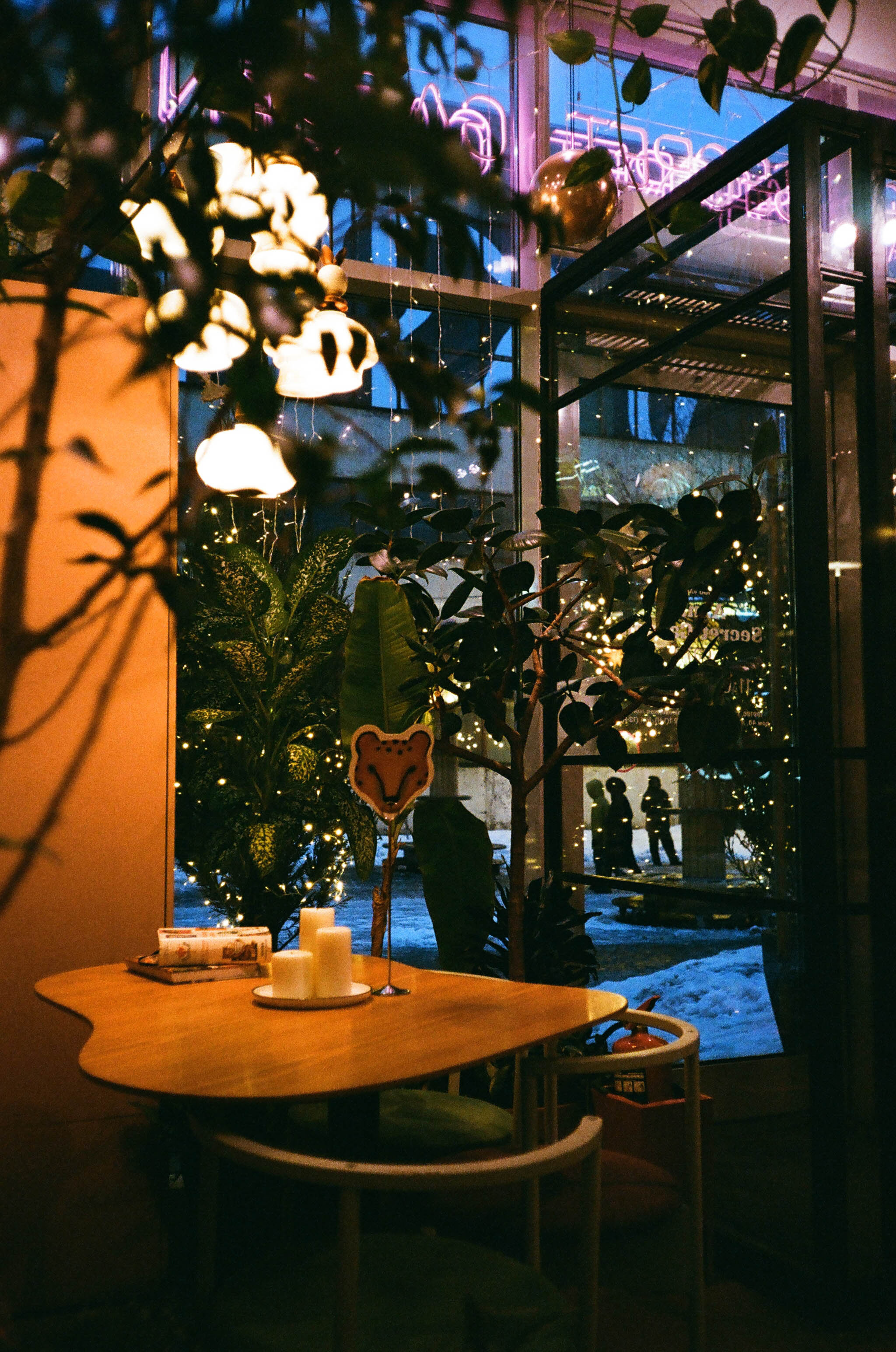 Пленка № 4. Фотограф Скворцова Дарья