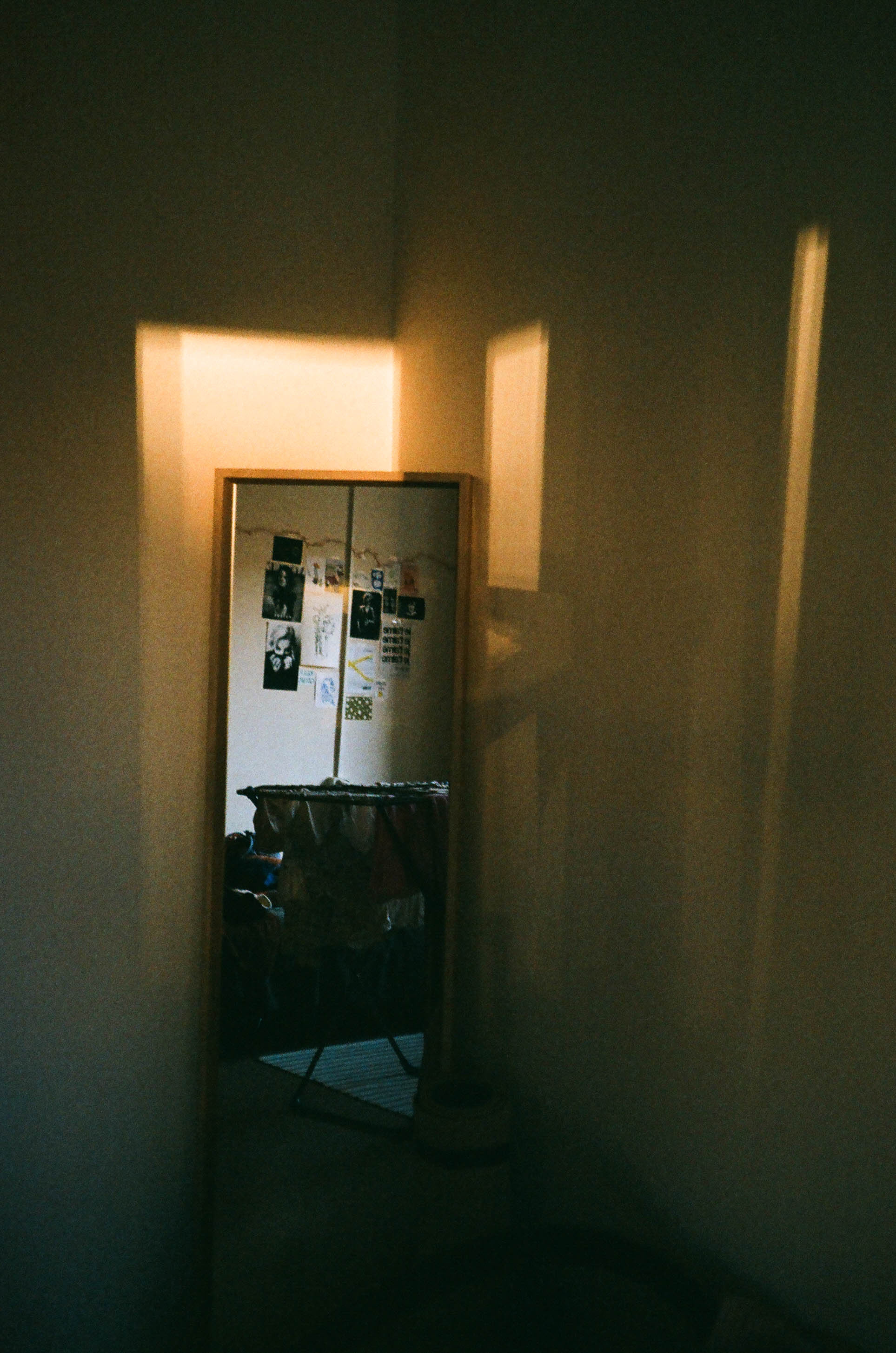 Пленка № 5. Фотограф Скворцова Дарья