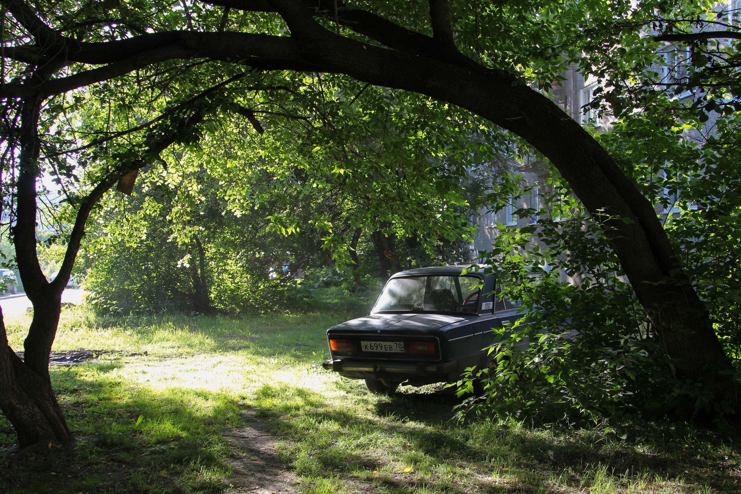 Томск, 17 июня 2020. Фотограф Скворцова Дарья