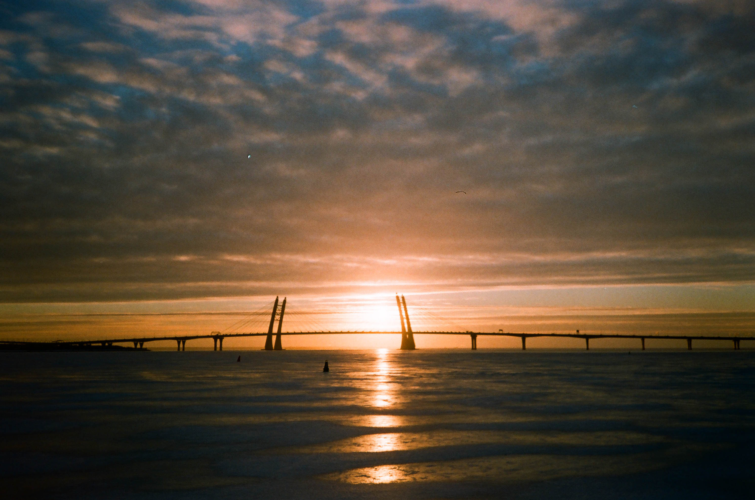 Пленка № 5. Фотограф Скворцова Дарья