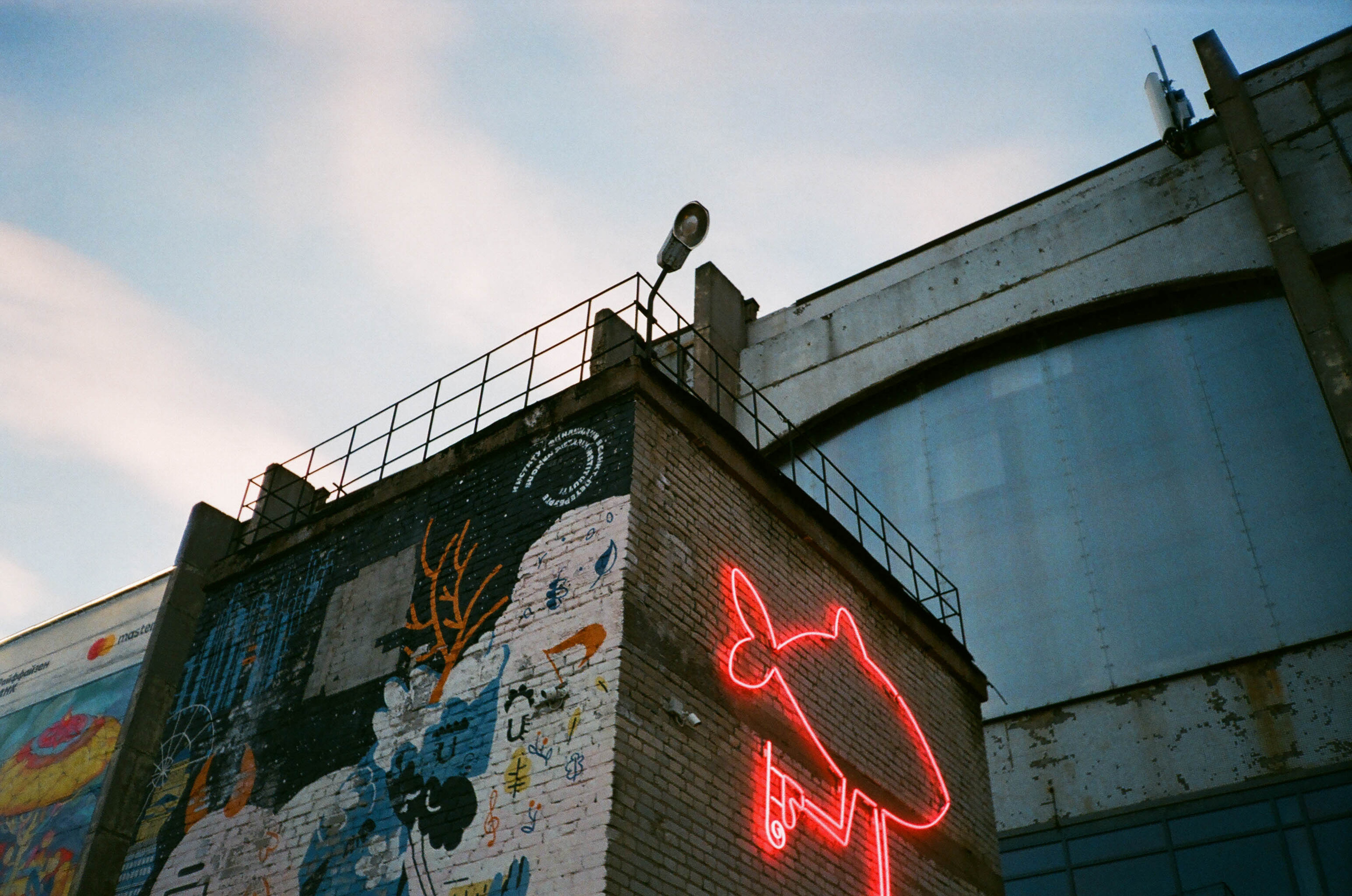 Пленка № 5. Фотограф Скворцова Дарья