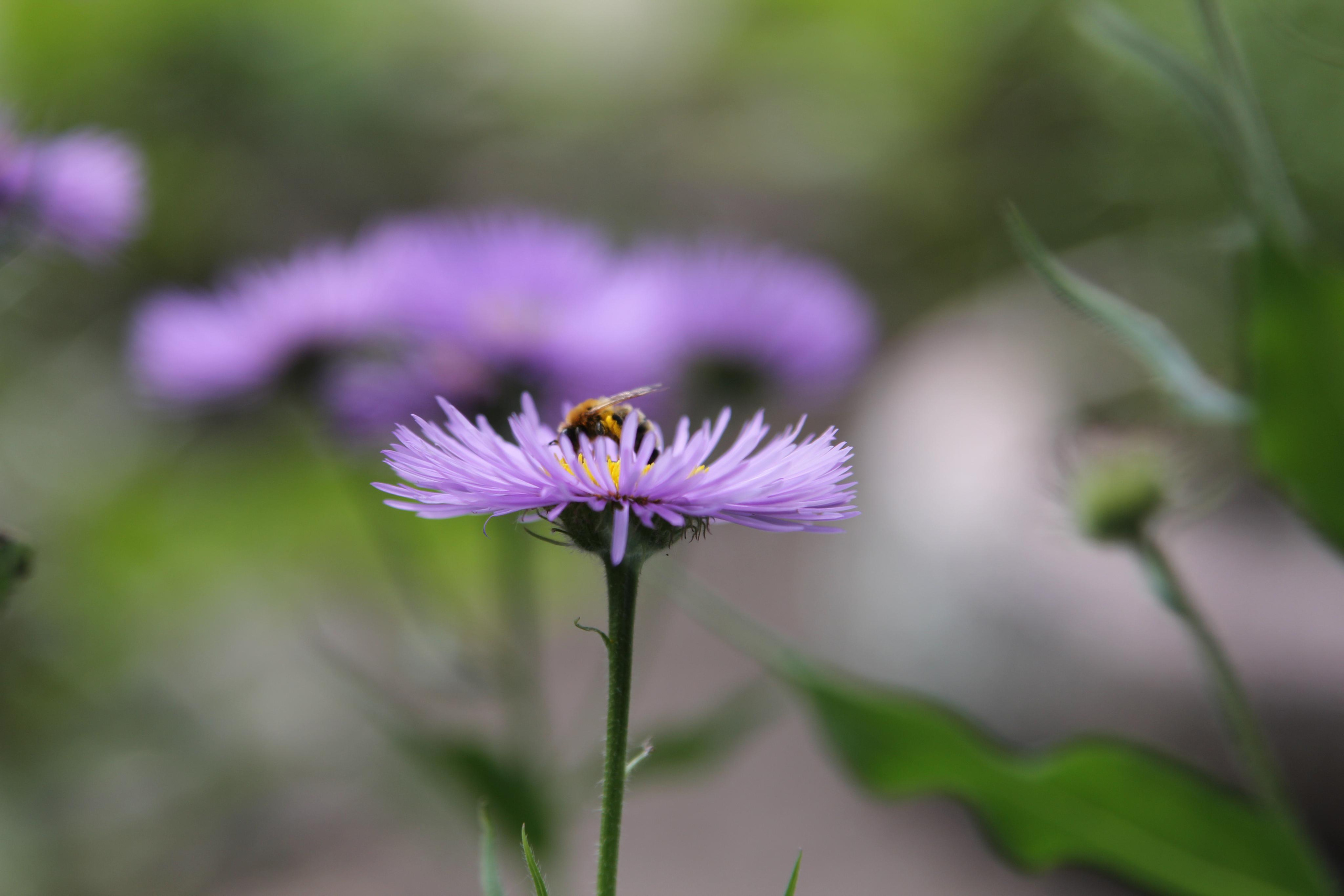 Томск, 20 июня 2020. Фотограф Скворцова Дарья