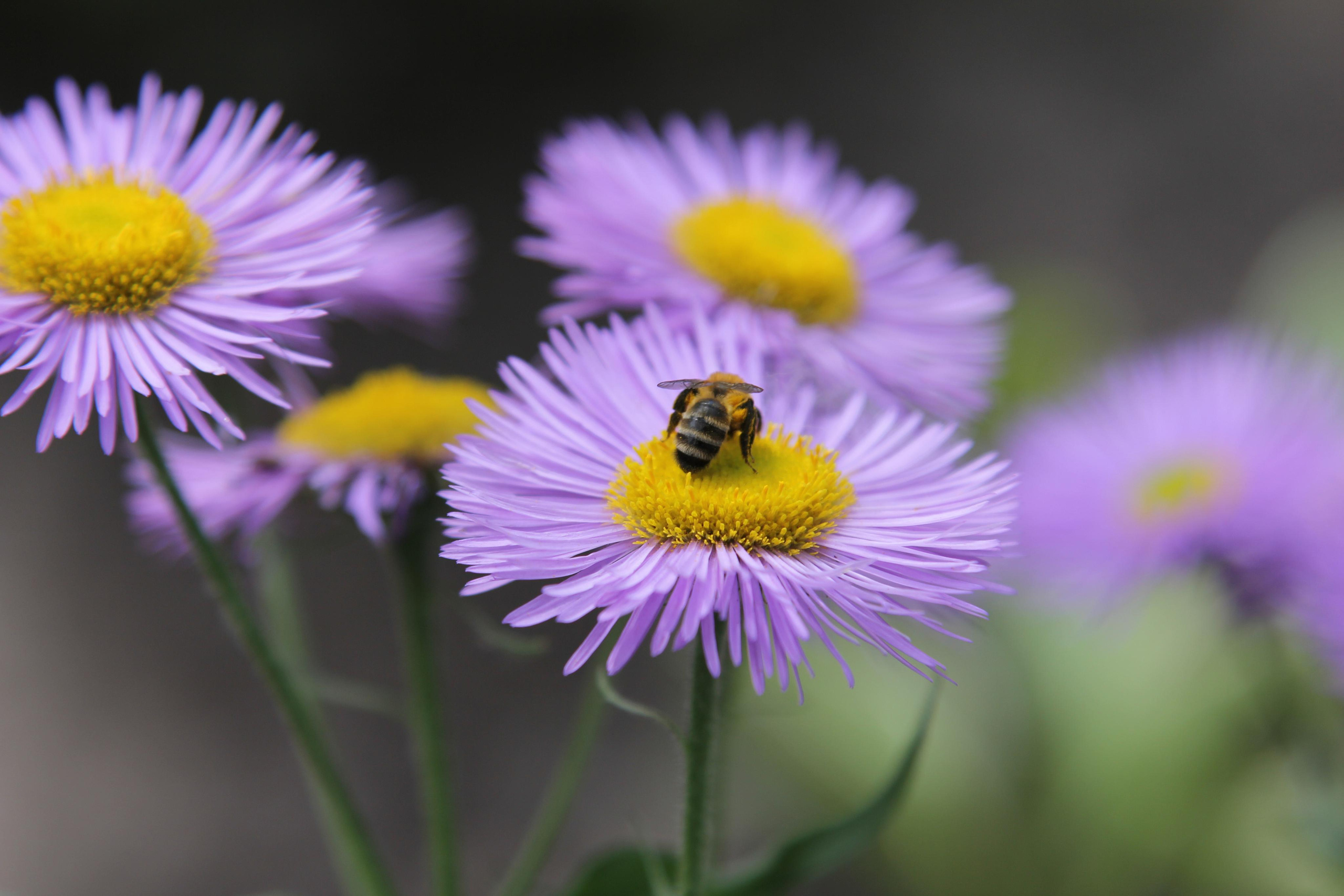 Томск, 20 июня 2020. Фотограф Скворцова Дарья