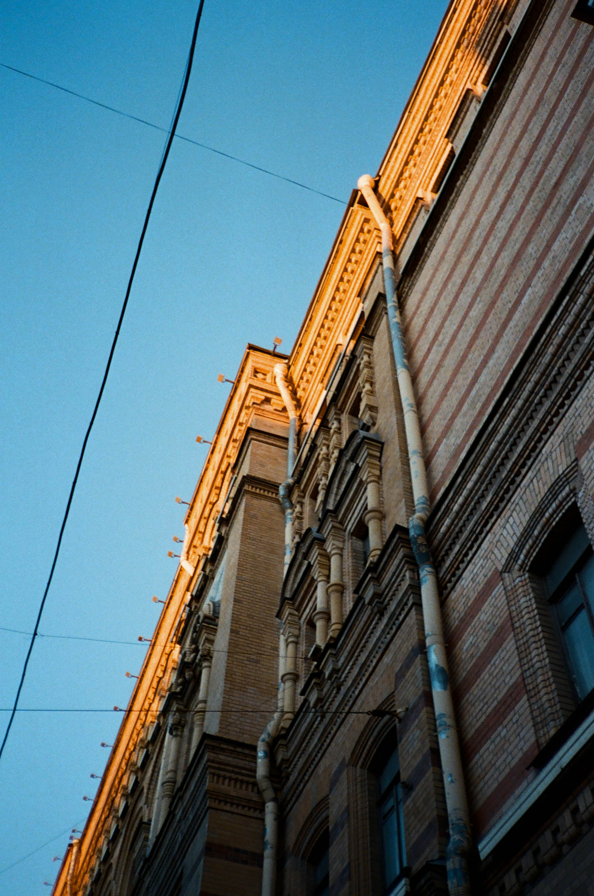 Пленка № 4. Фотограф Скворцова Дарья