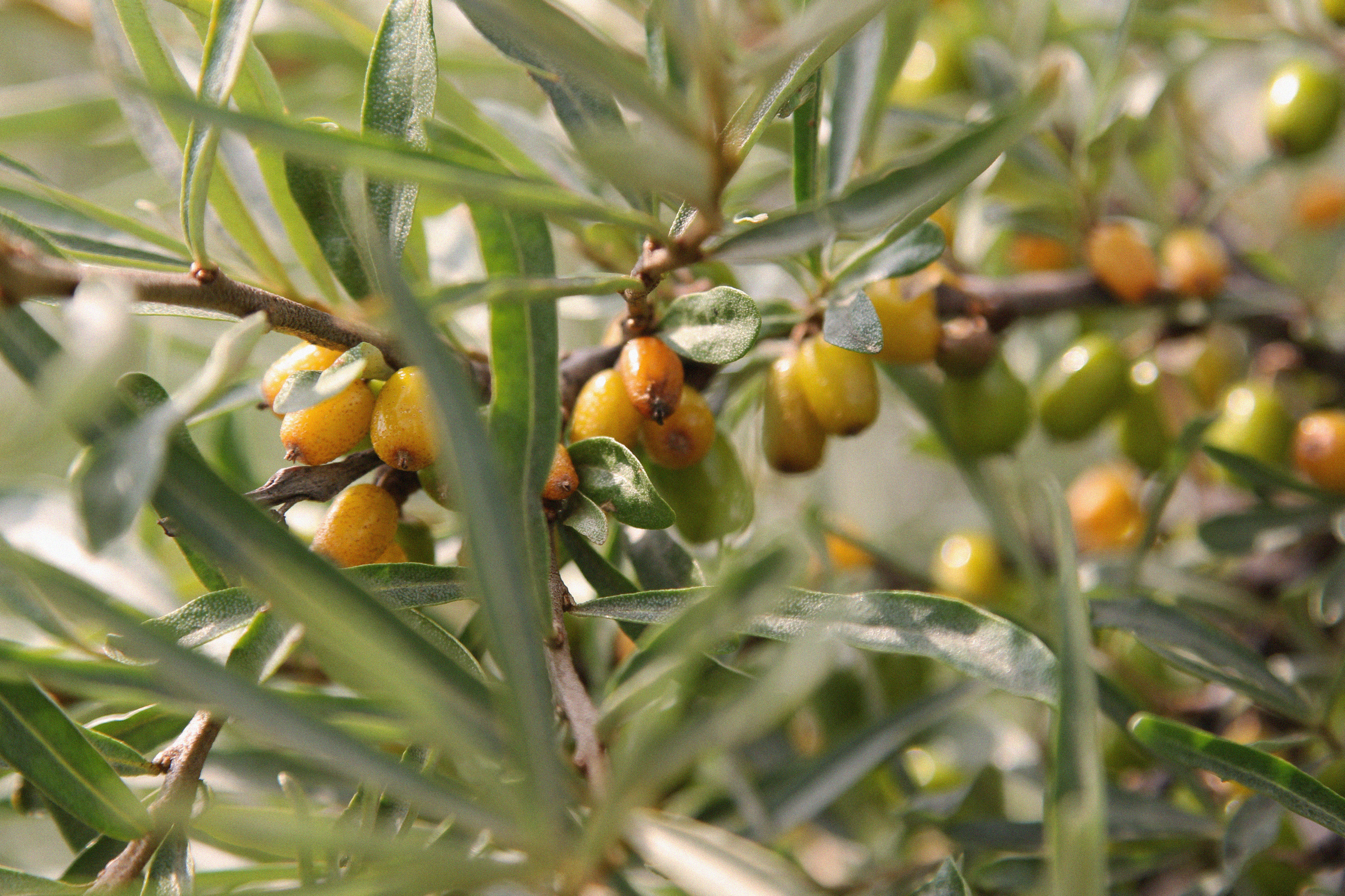 Томск, июль 2020. Фотограф Скворцова Дарья
