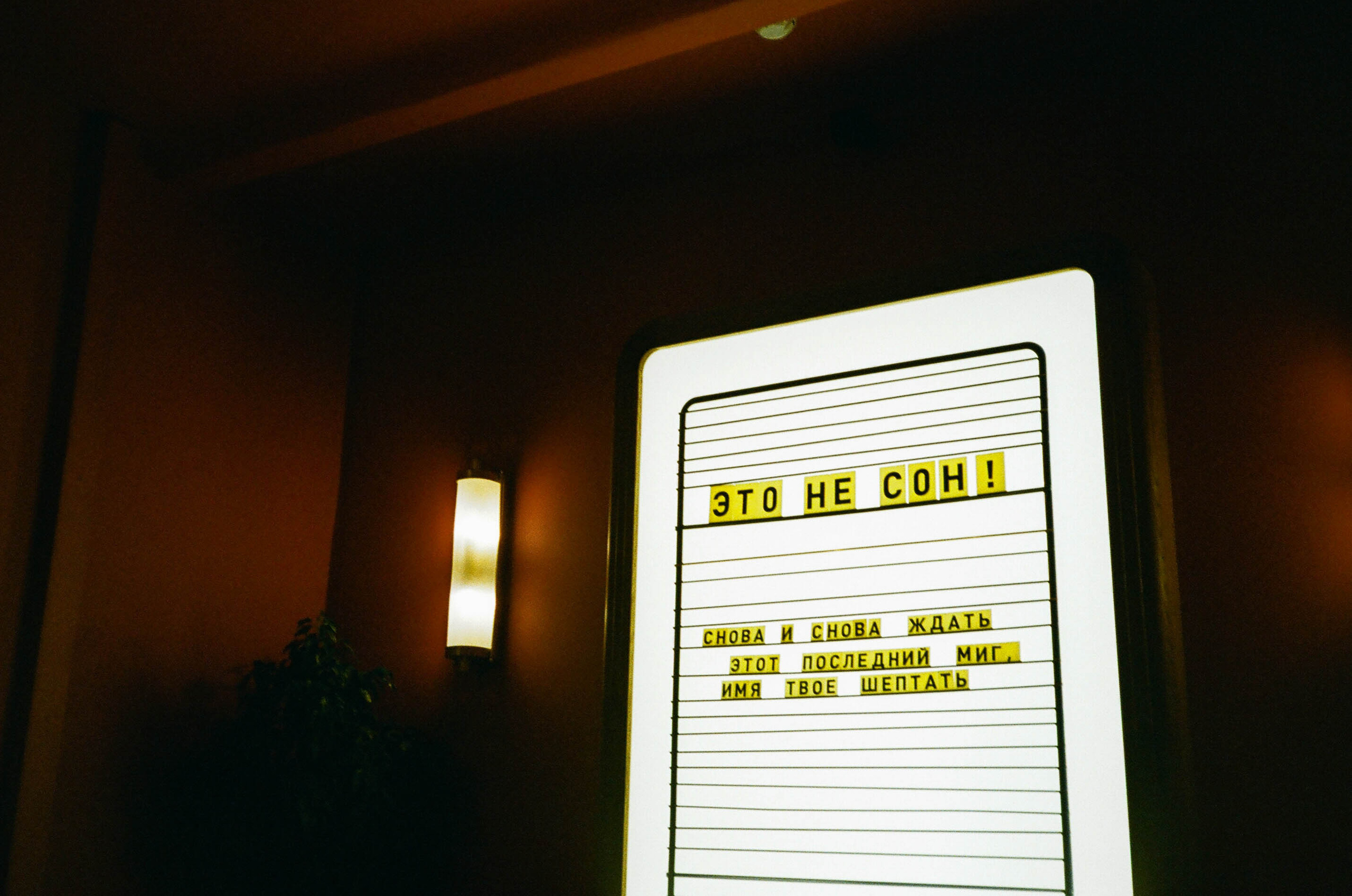 Пленка № 3. Фотограф Скворцова Дарья