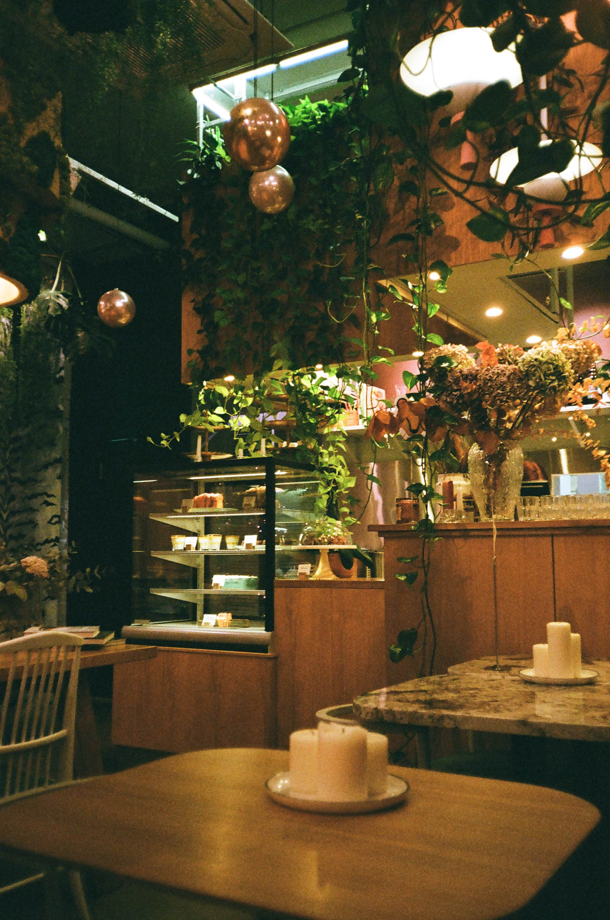 Пленка № 4. Фотограф Скворцова Дарья