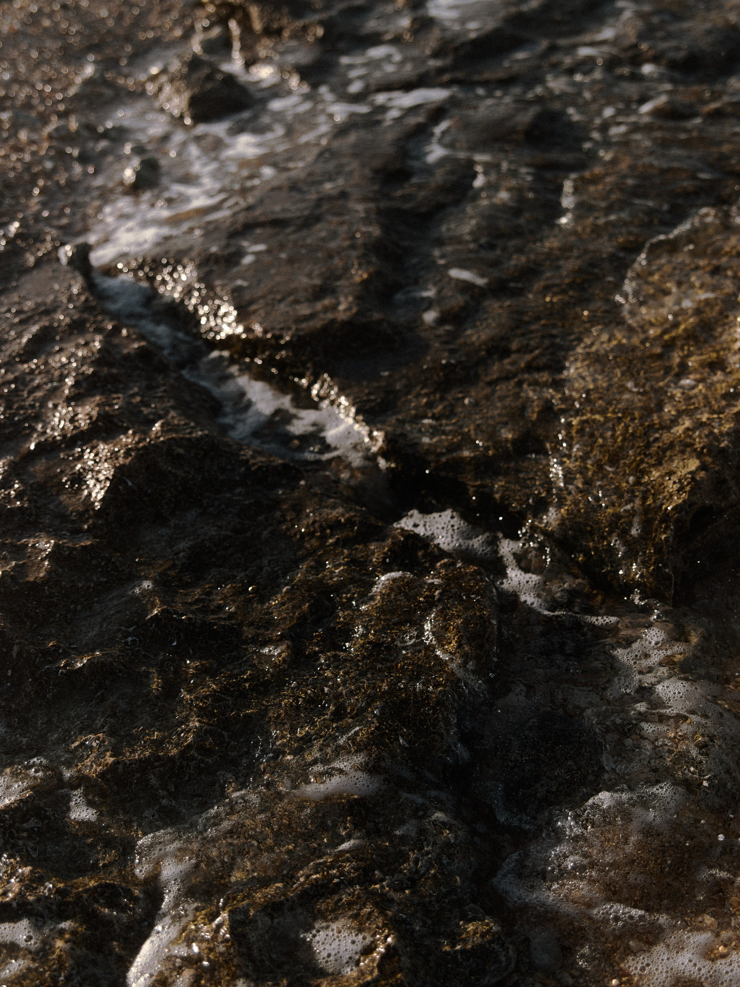 Природа. Jorgis Talè — photographer, kind person, teacher of arts and other mag