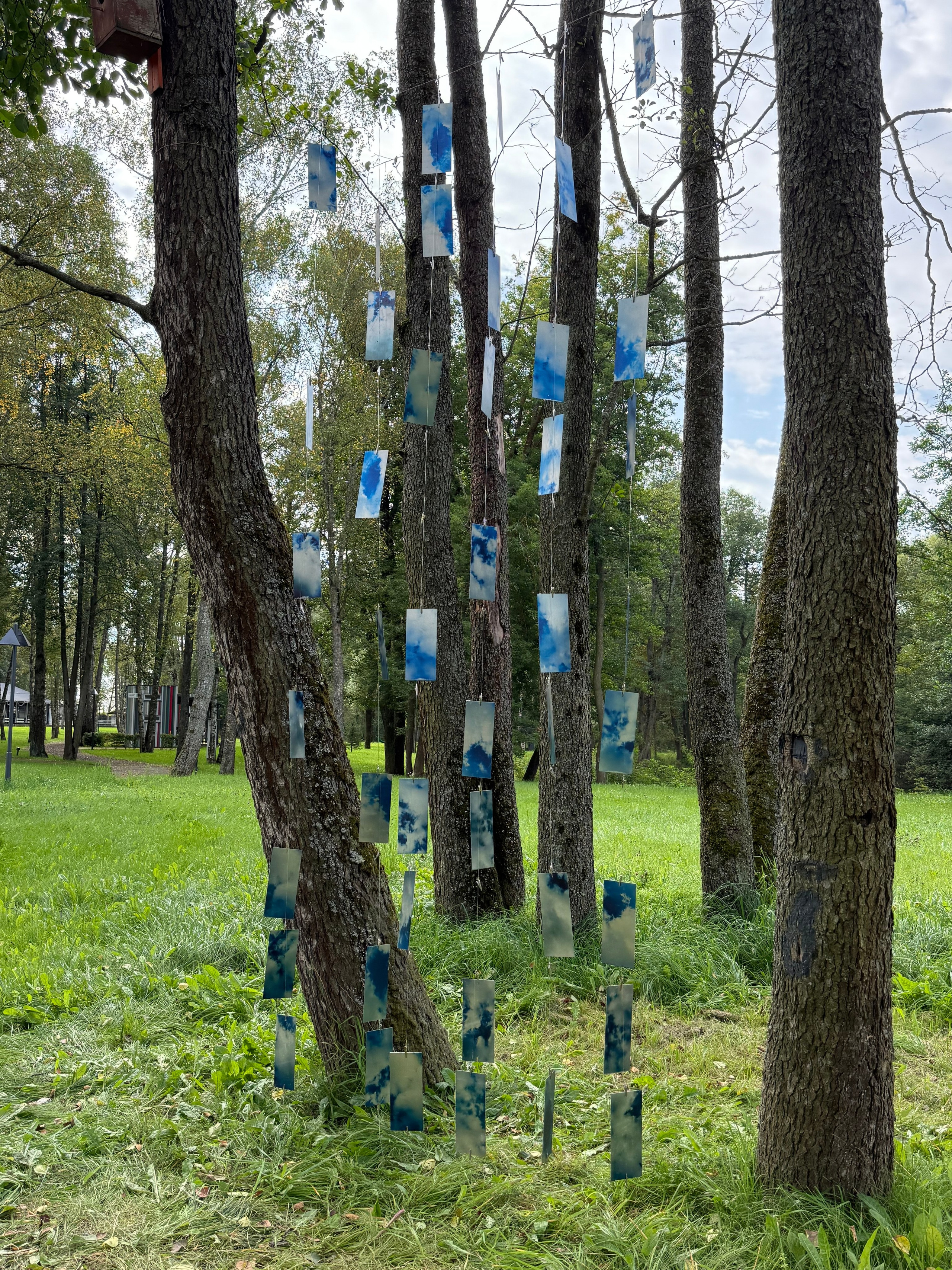 «Какой большой ветер», групповая выставка, 28.08-21.09.2025, парк-отель «Белые Аллеи». Лера Круглова