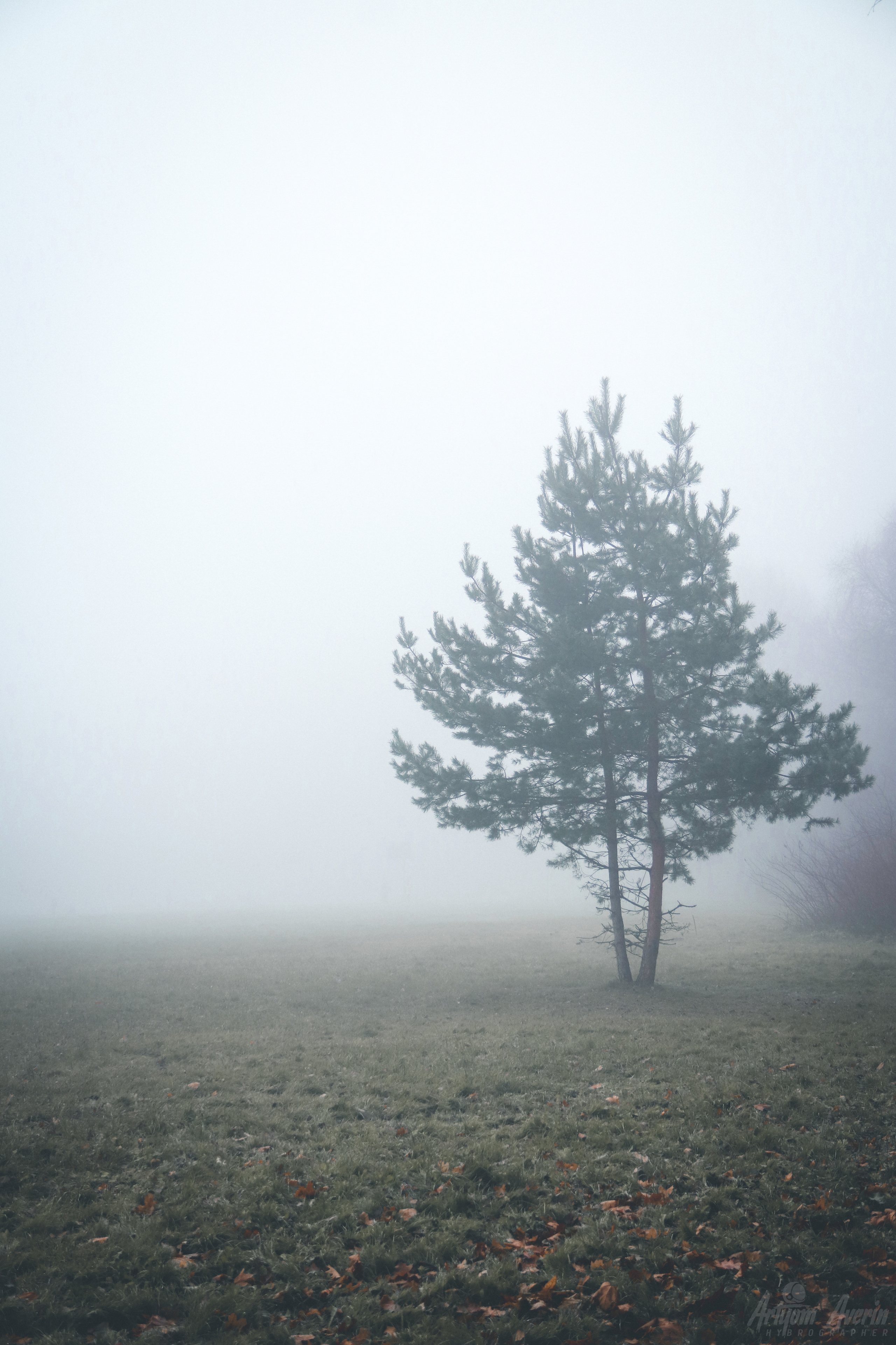 Явление Сайлент Хилла