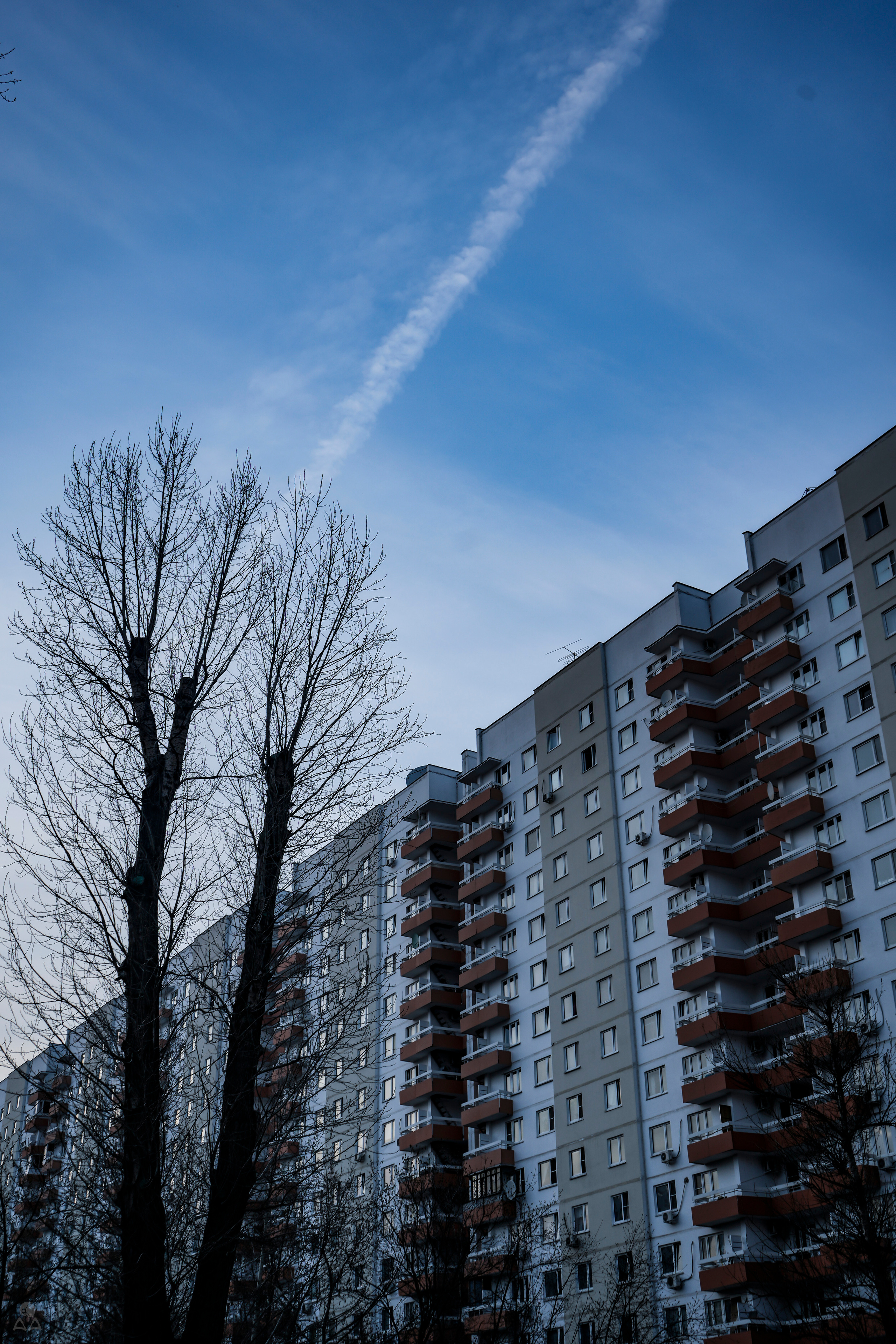 Рассвет весны