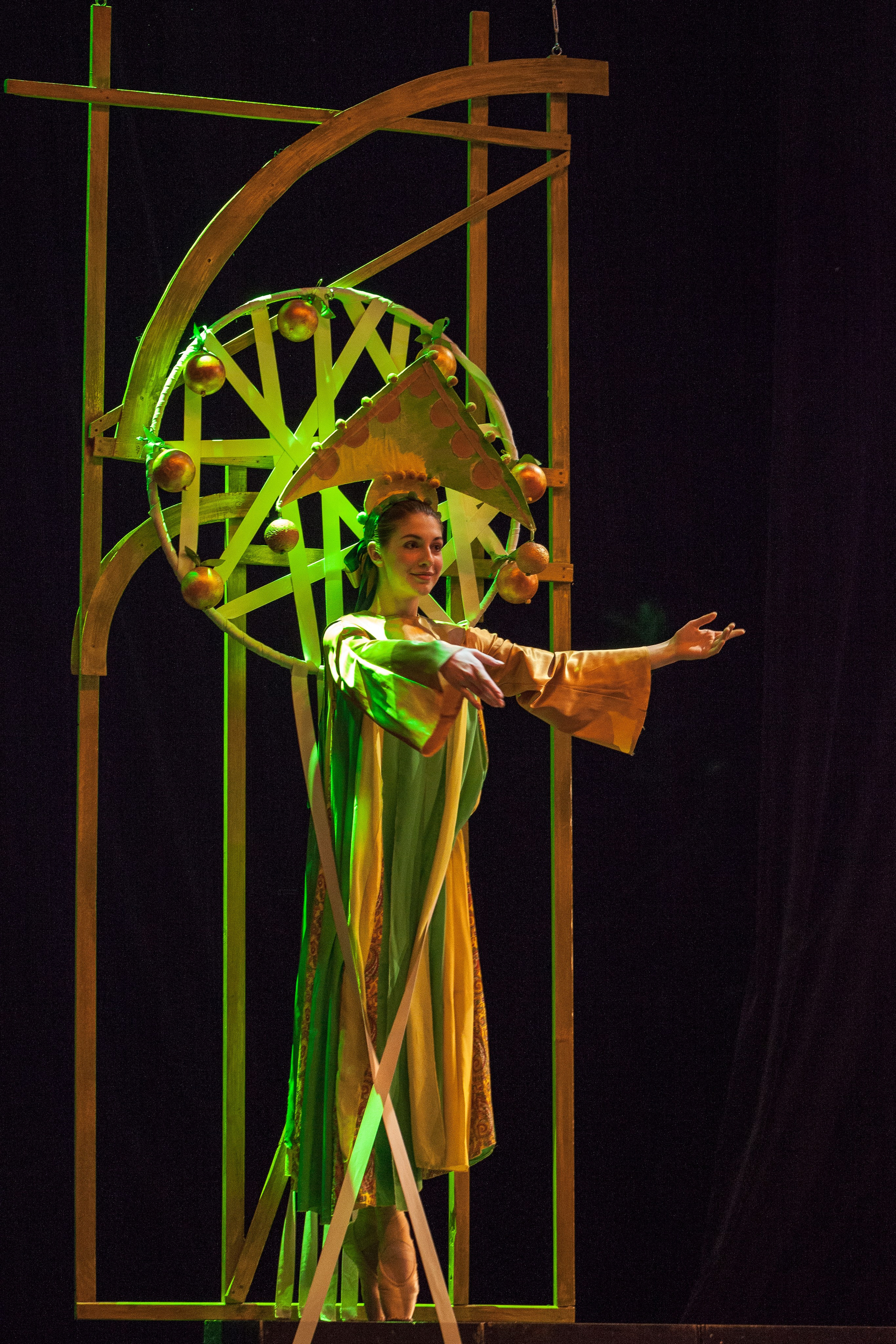 Балет «Жар-птица». Семейный и предметный фотограф Мария Львова Санкт-Петербург flitphoto