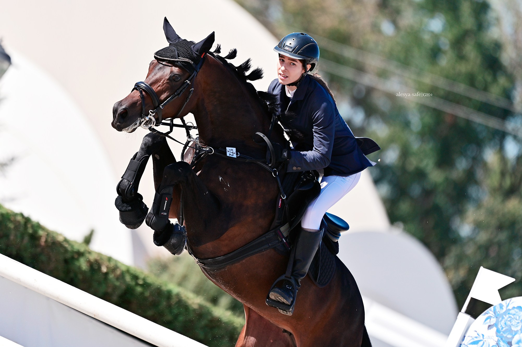 Голден. Конный фотограф Alesya Safe