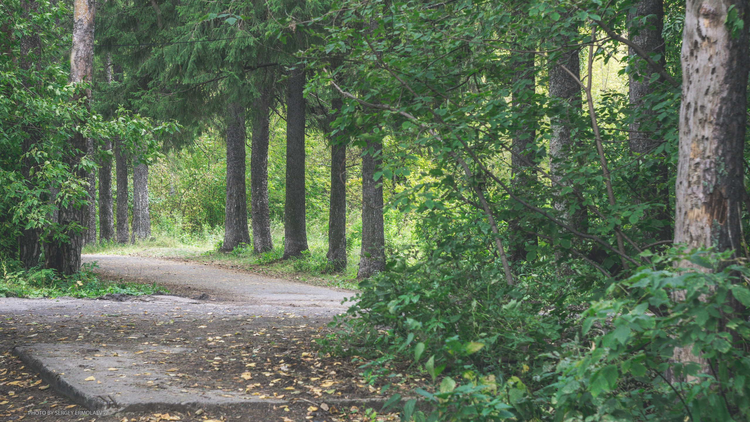 На тропах старинного парка